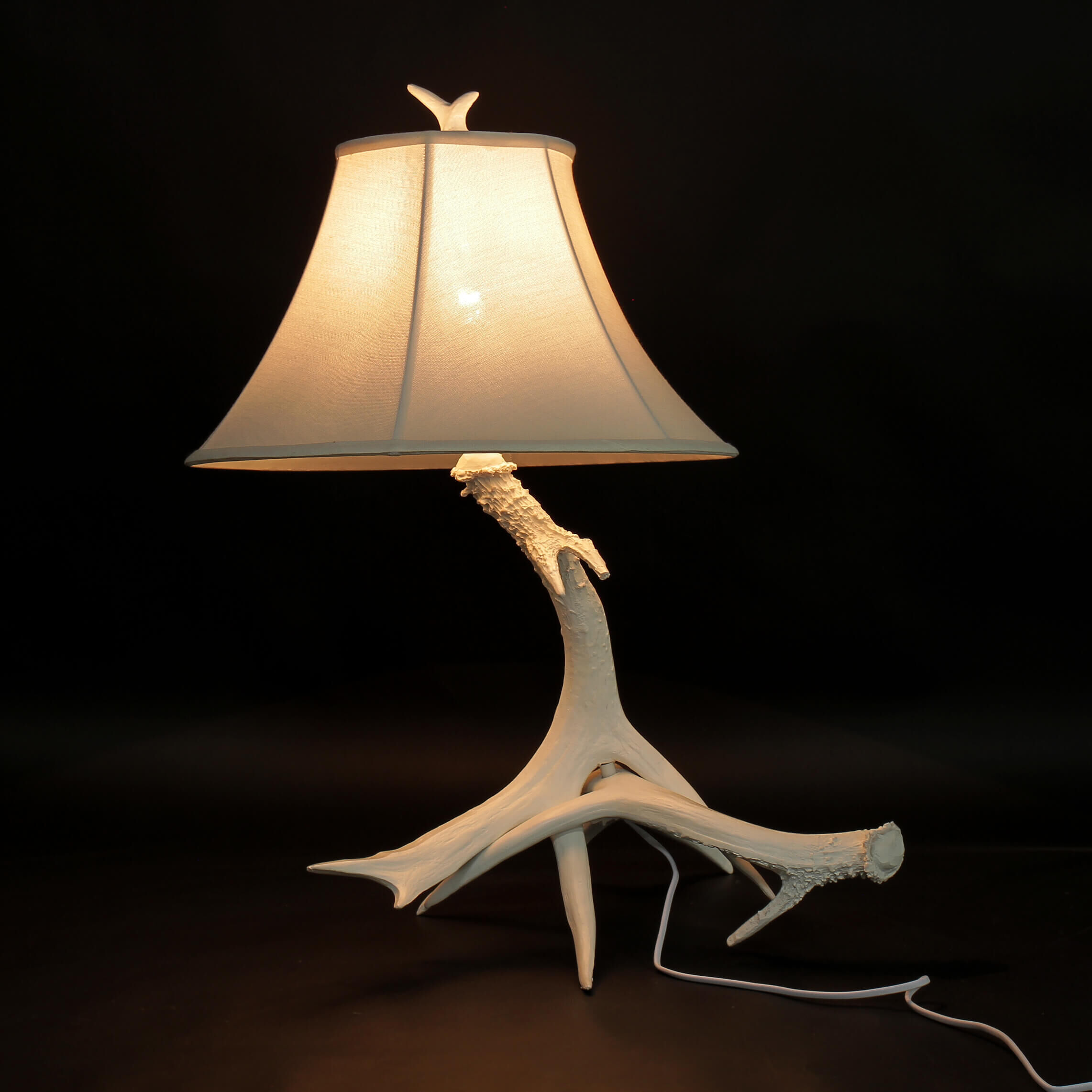 Lampe, Lampenschirm