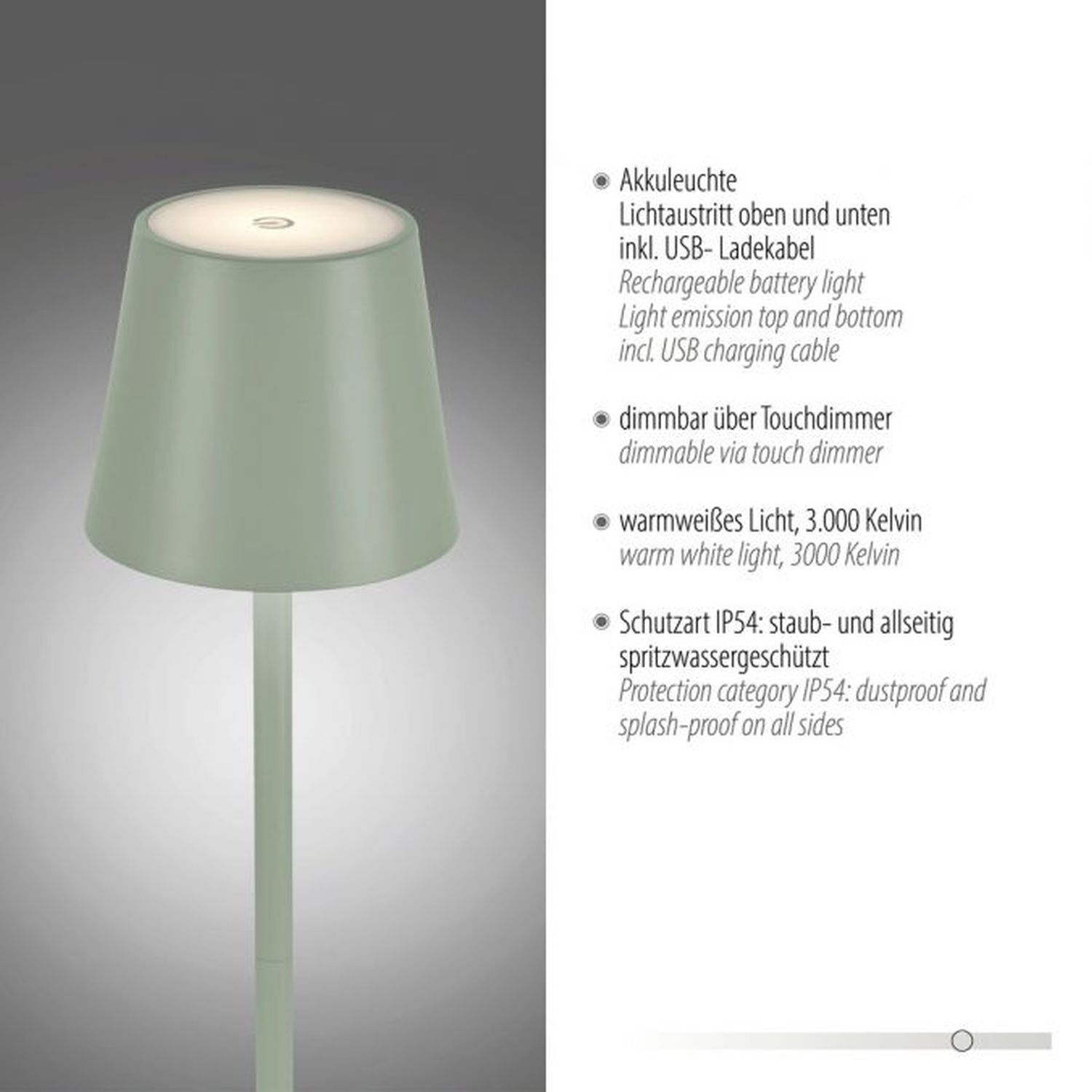 Lampe, Lampenschirm