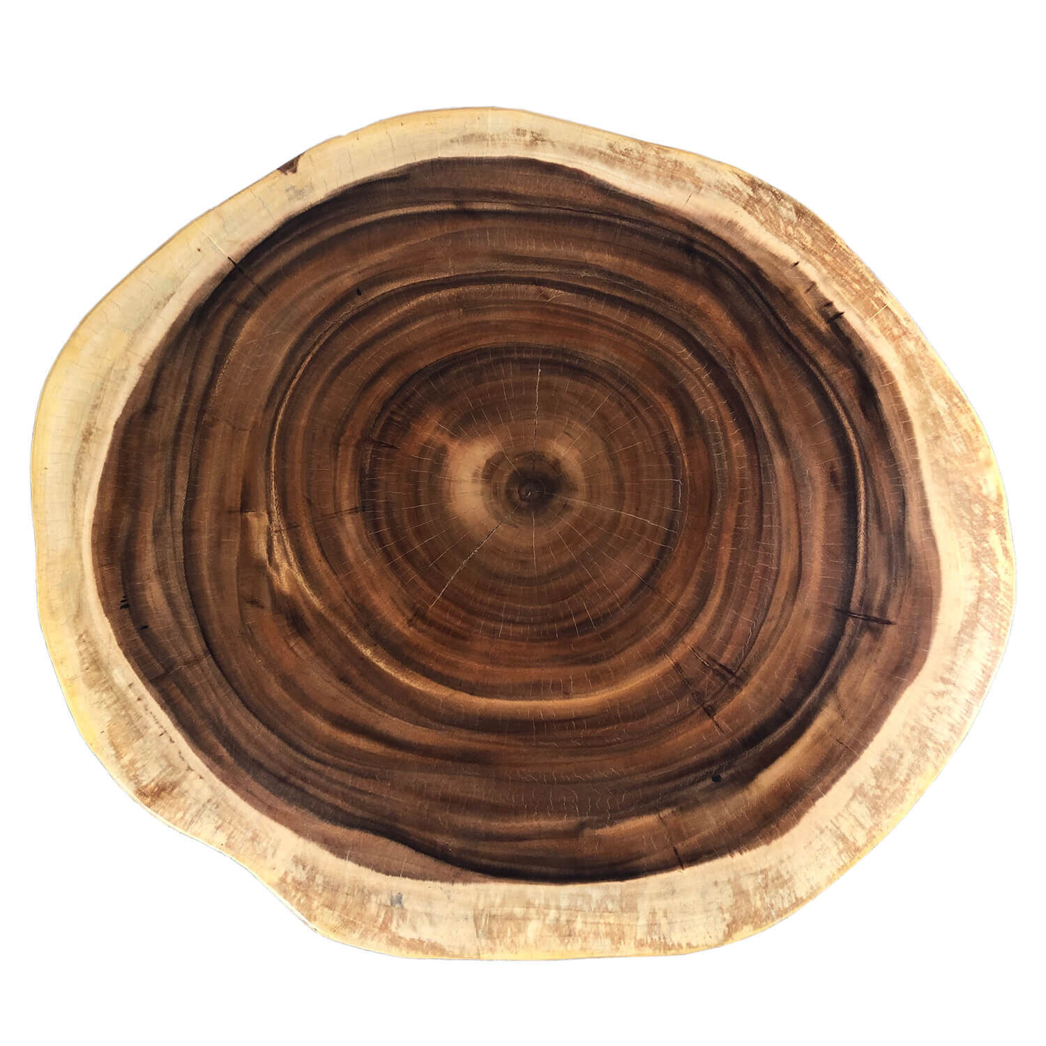 Holz, Pflanze, Baum, Schüssel