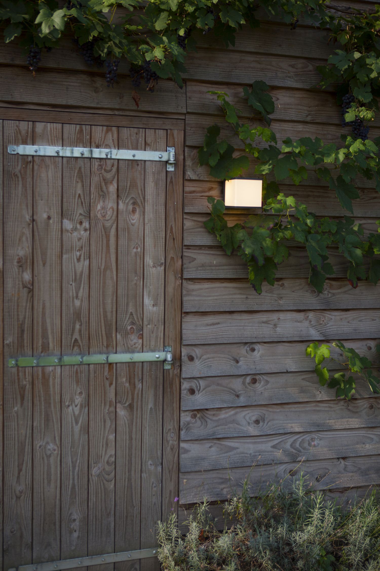 Holz, Drinnen, Innenarchitektur