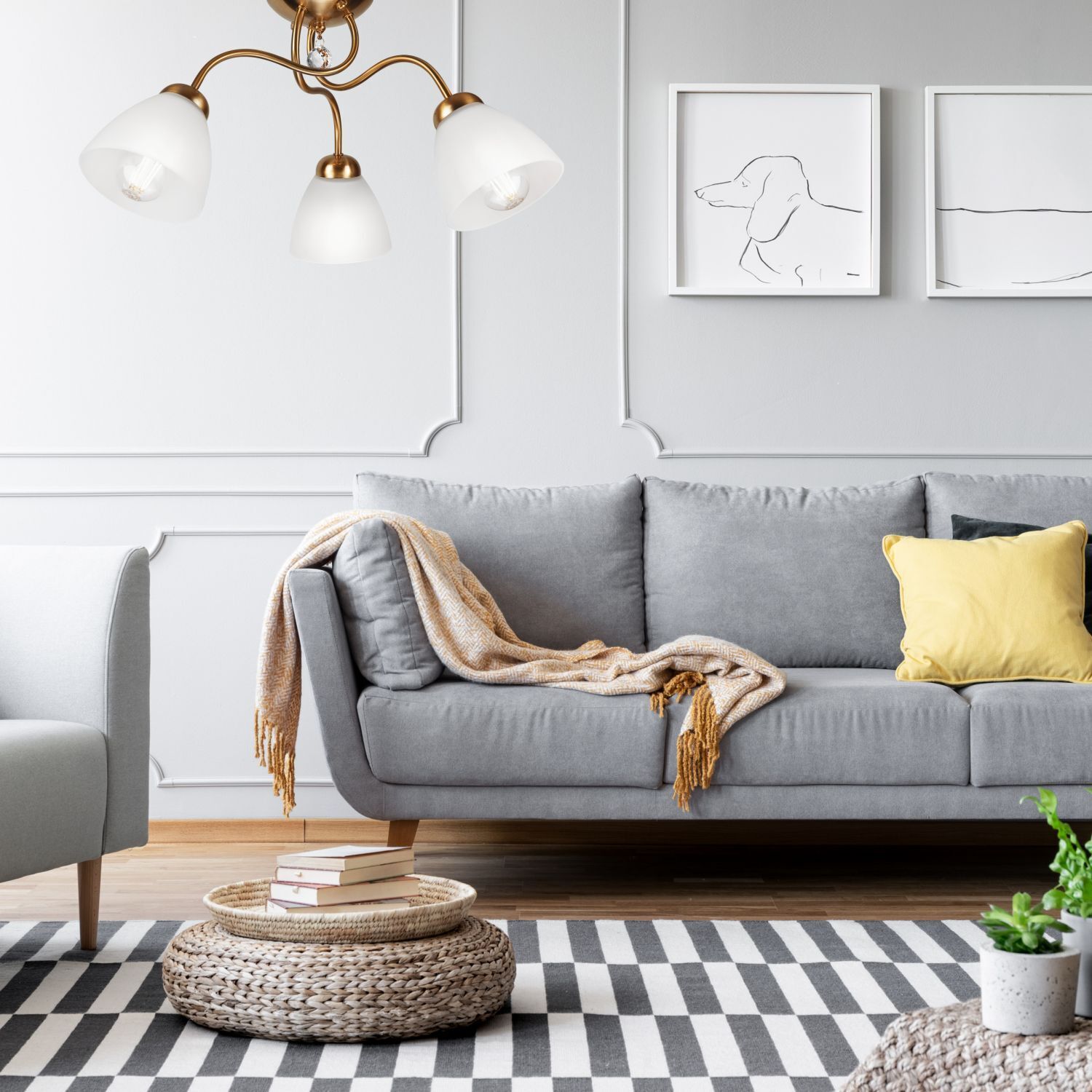 sofa, grau, wohnzimmer, kissen, decke