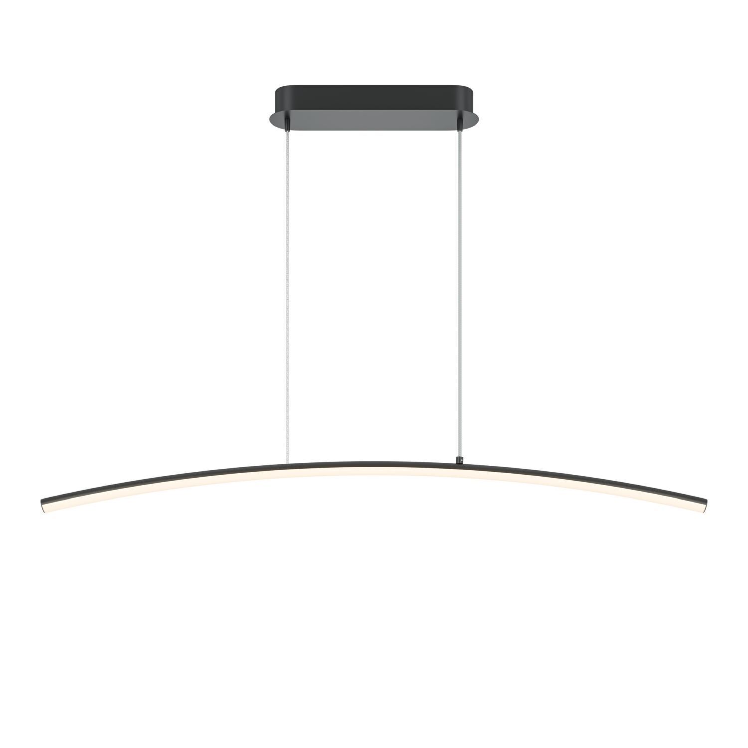 LED Hängeleuchte Metall H: max. 305,7 cm Schwarz 800 lm