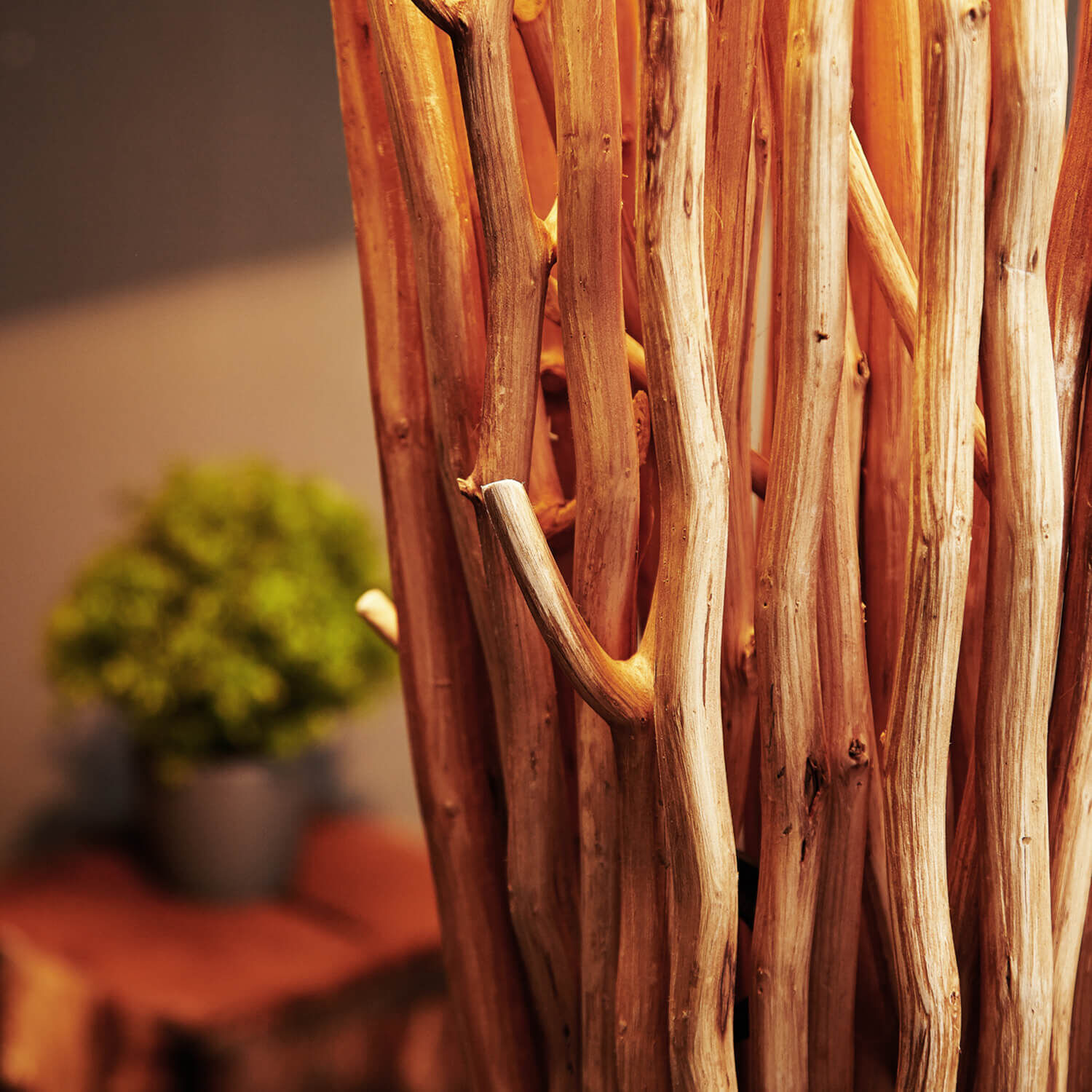 Eindrucksvolle Stehleuchte Treibholz 175 cm Modern Holz, Pflanze, Baum, Drinnen, Innenarchitektur