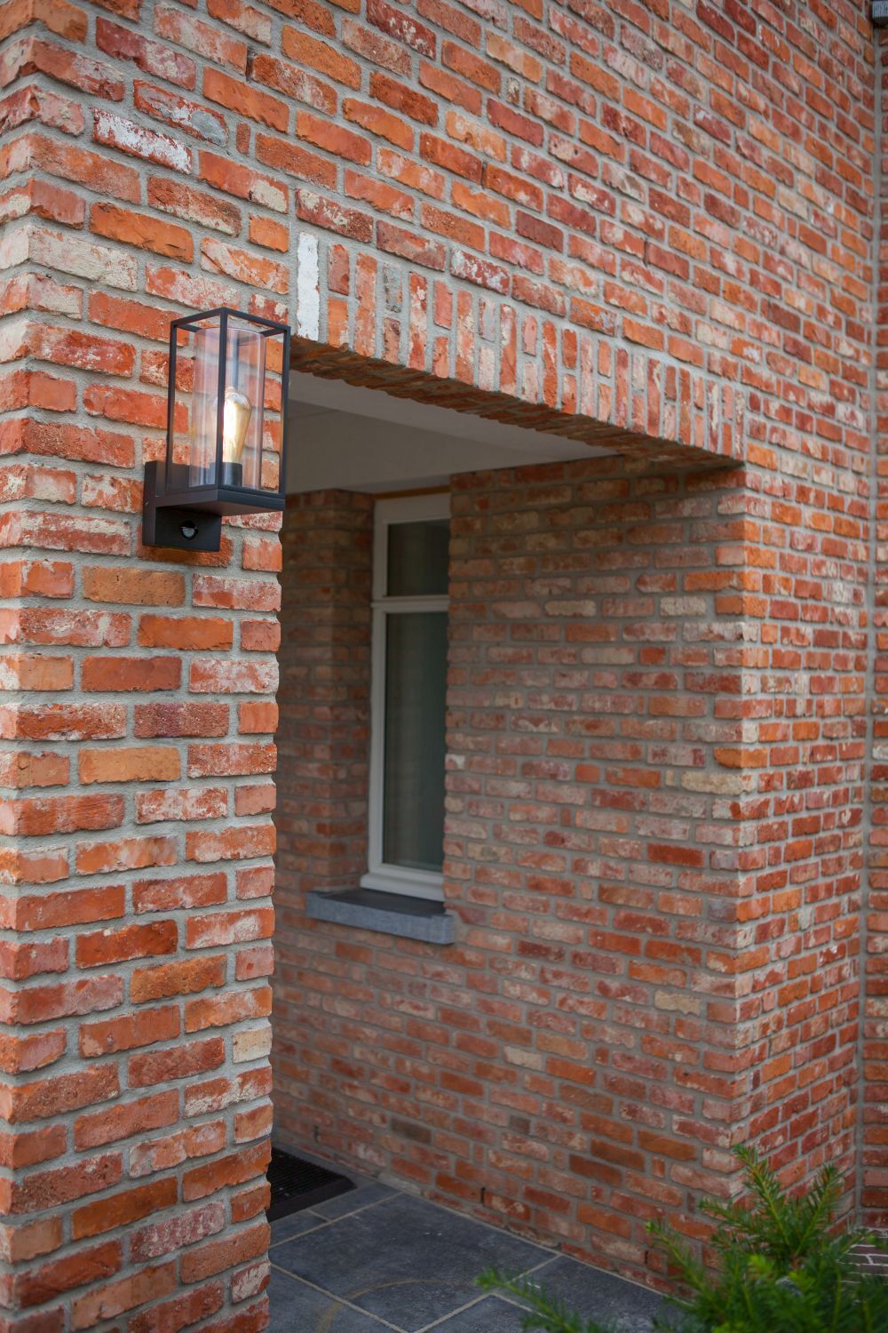 Backstein, Architektur, Gebäude, Mauer, Pflanze