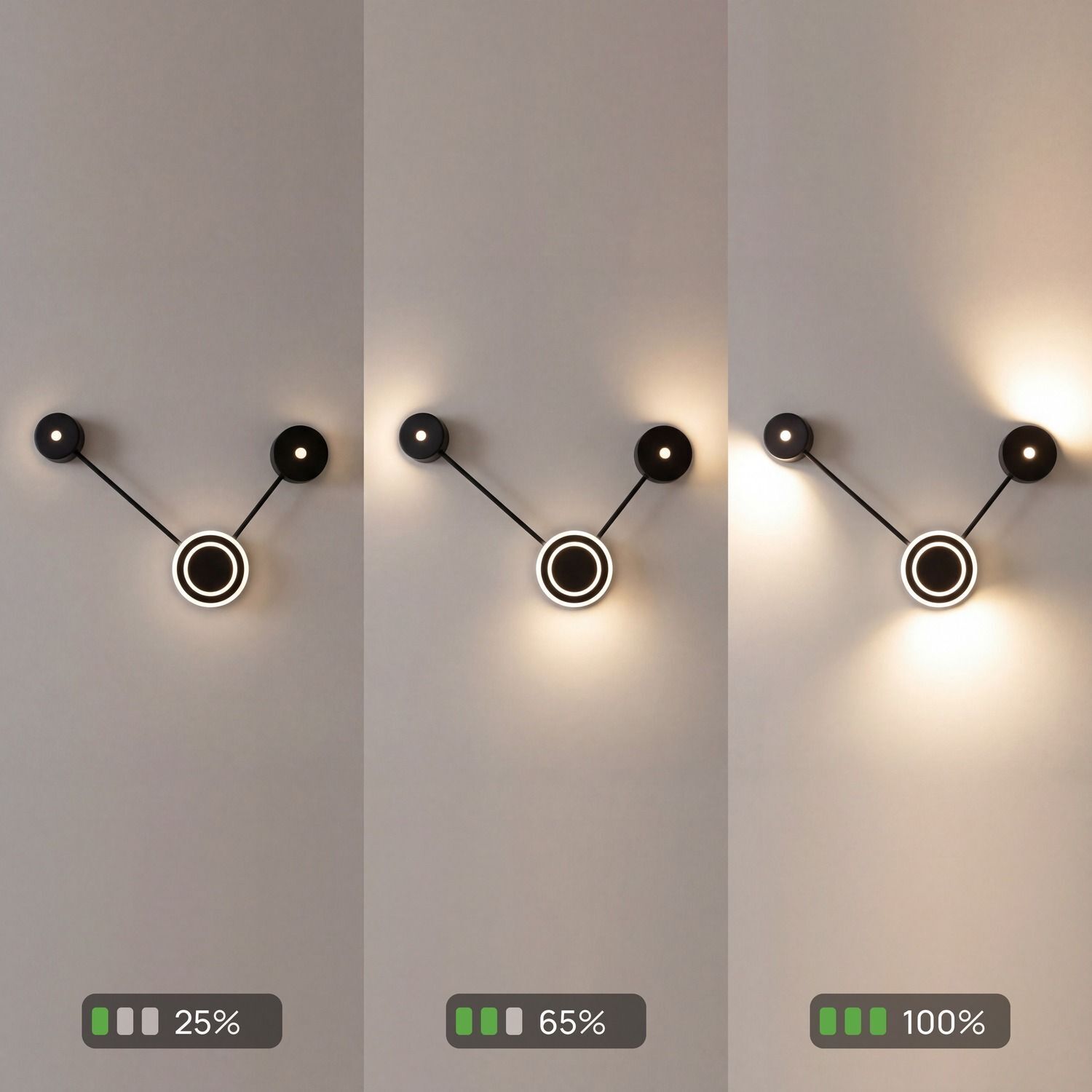 Wandleuchte, modernes Licht, Deckenleuchte, schwarze Fassung, LED-Ring