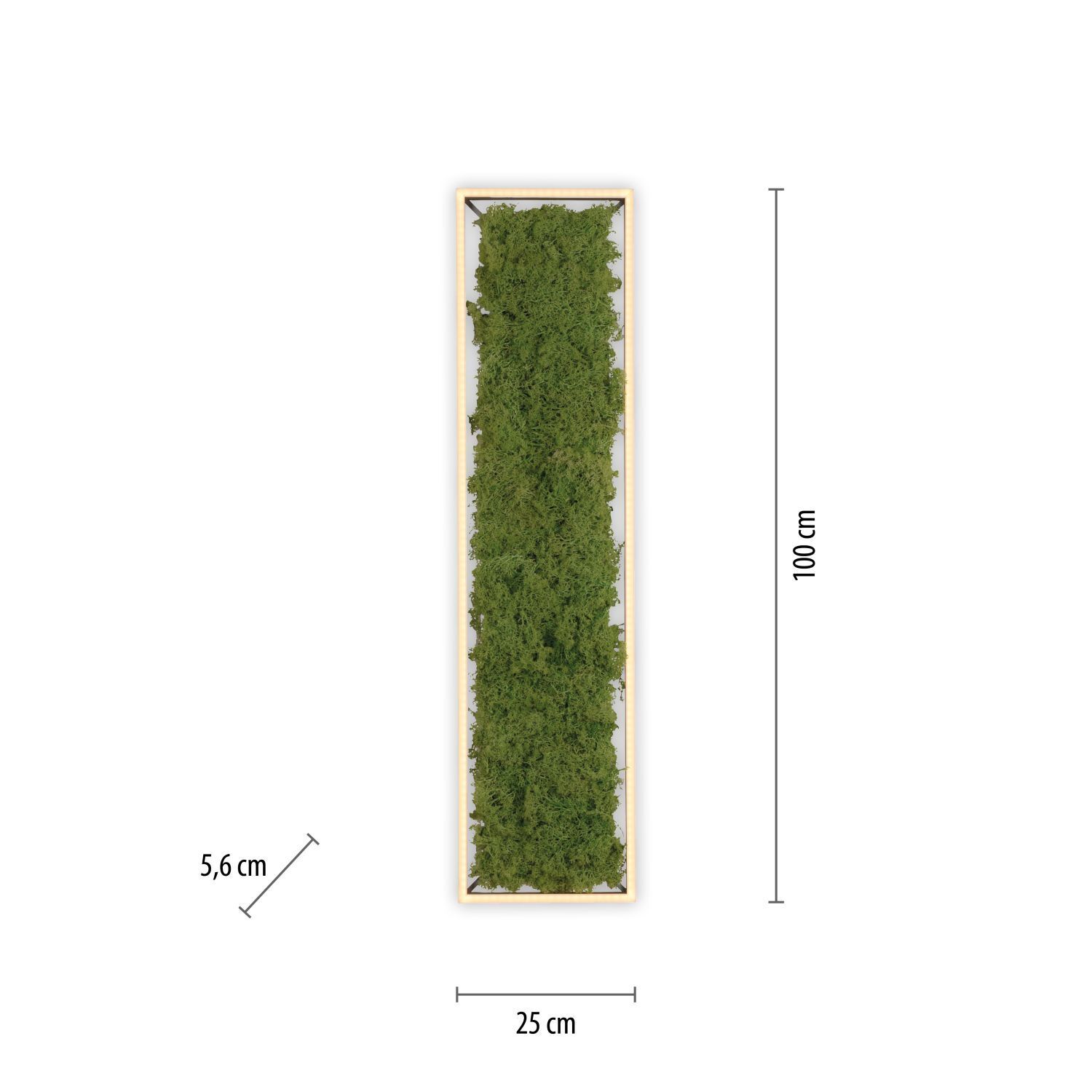 LED Deckenleuchte Moos L:100 cm 3000 K 3550 lm aus Moos