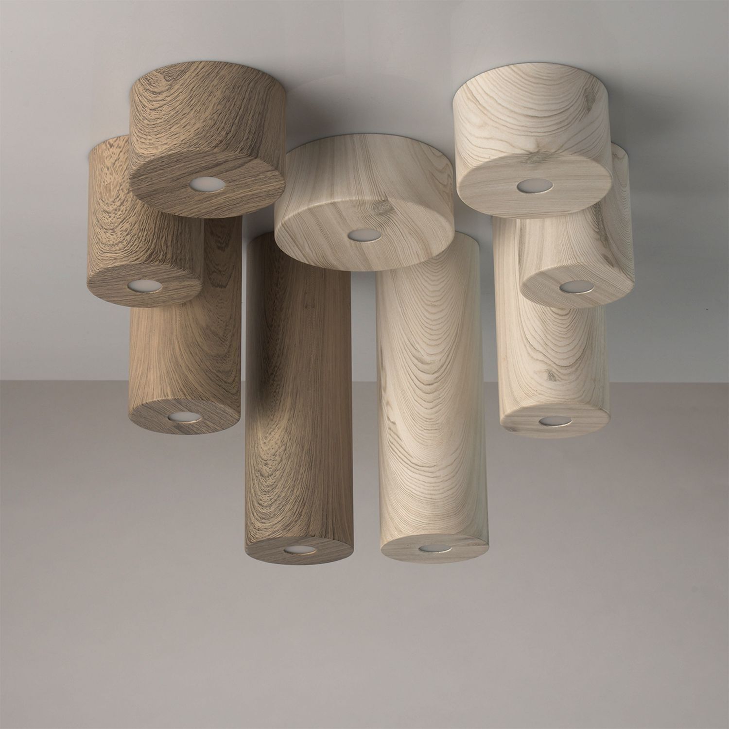 Holz