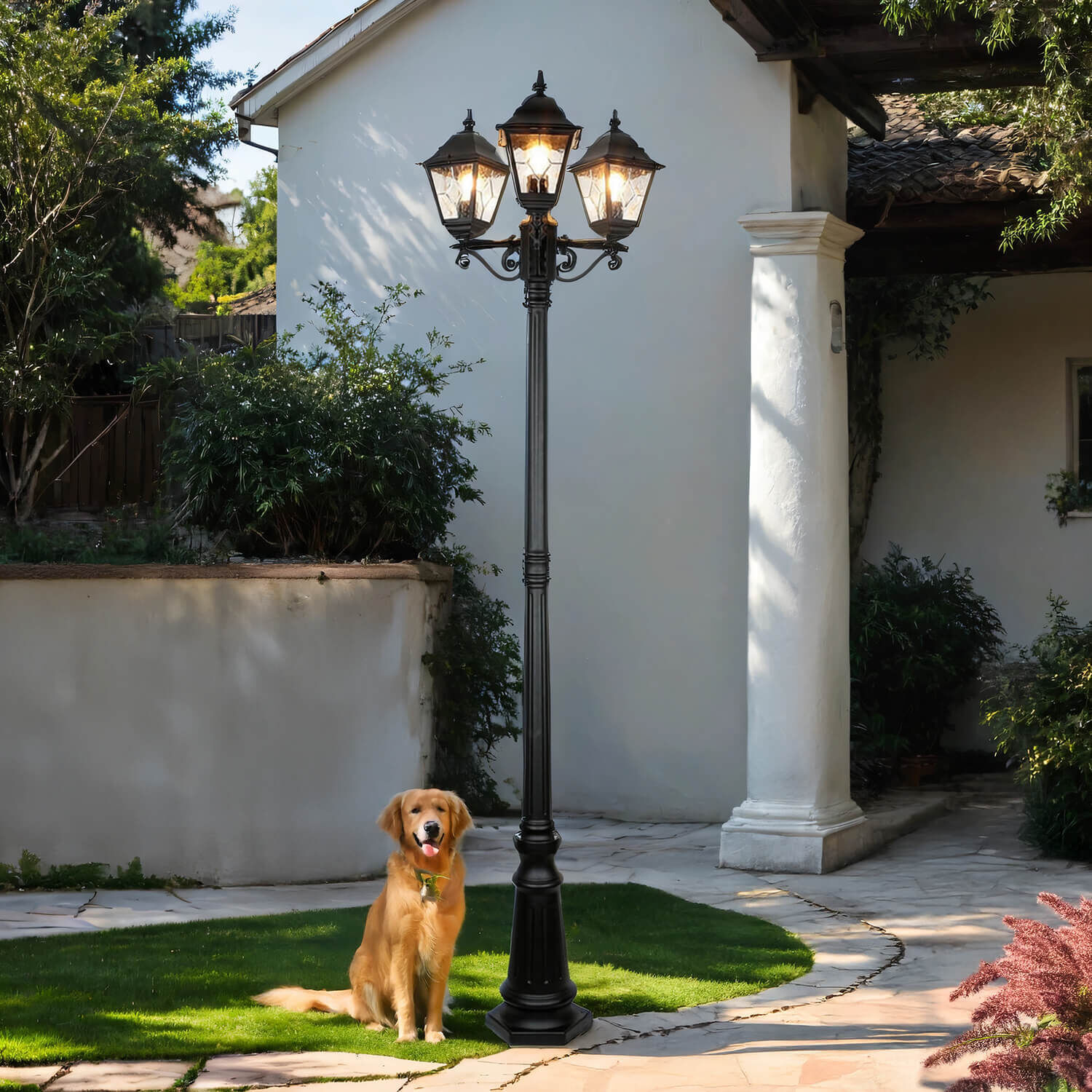 Laternenpfahl, Hund, Säugetier, Haustier, Lampe