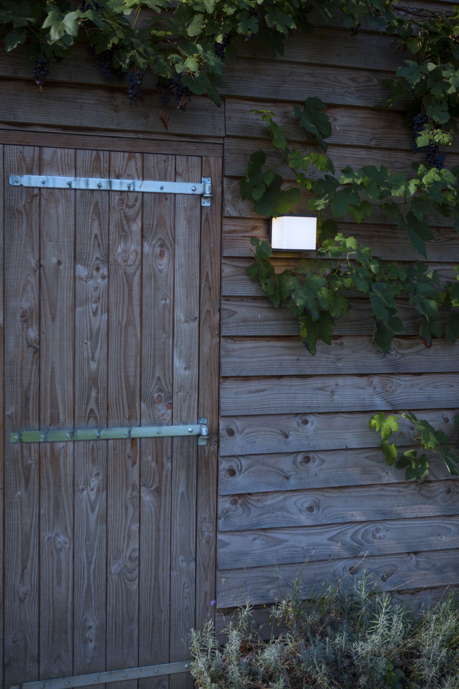 Holz, Drinnen, Innenarchitektur, Draußen