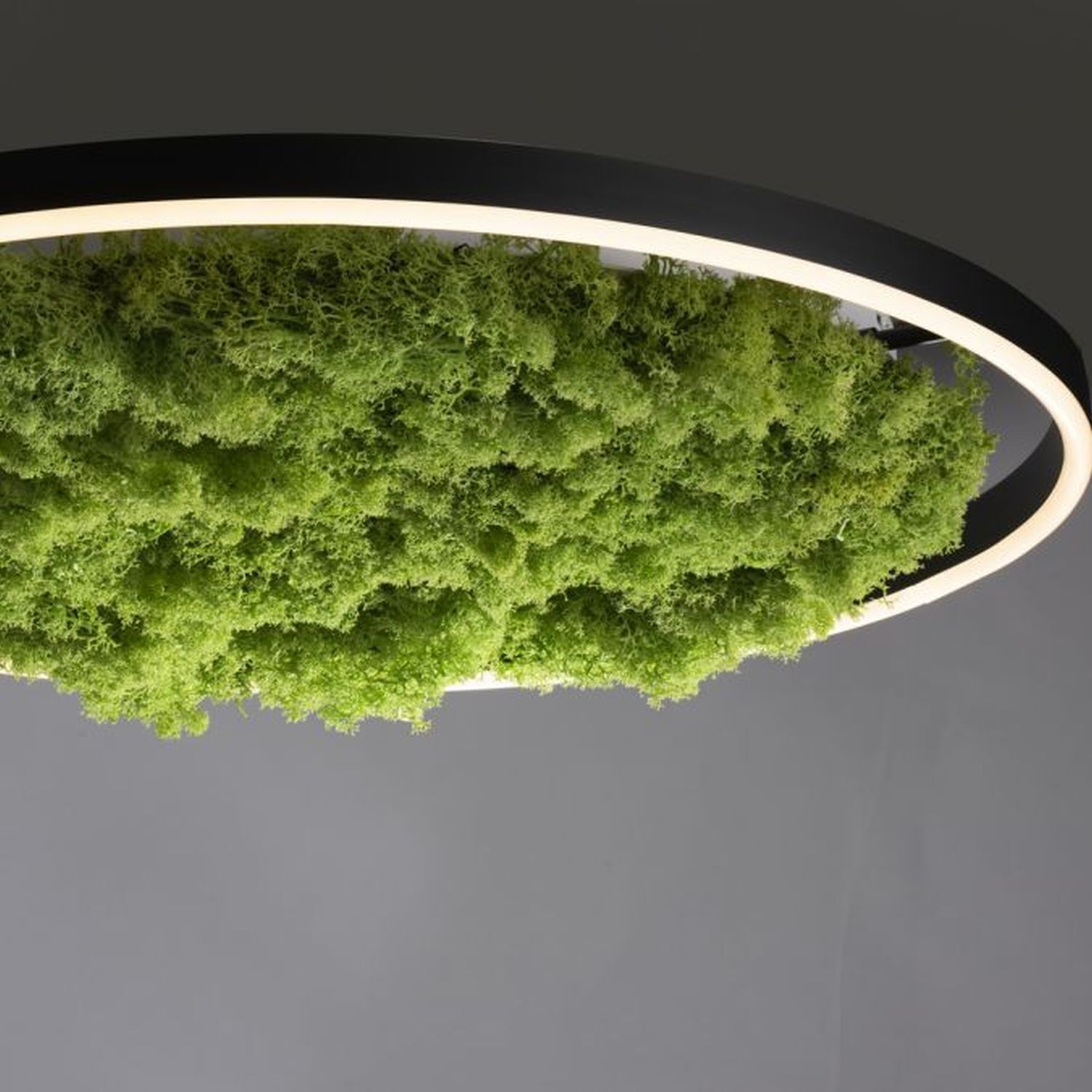 Dimmbare LED Deckenlampe Moos Schwarz 3000 K 28 W