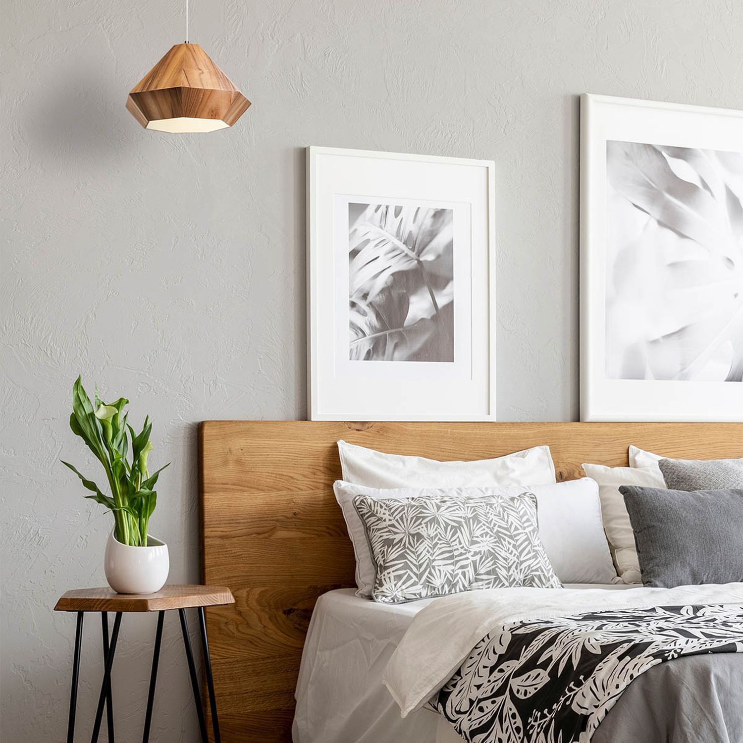 Innenarchitektur, Kissen, Dekoration für Zuhause, Pflanze