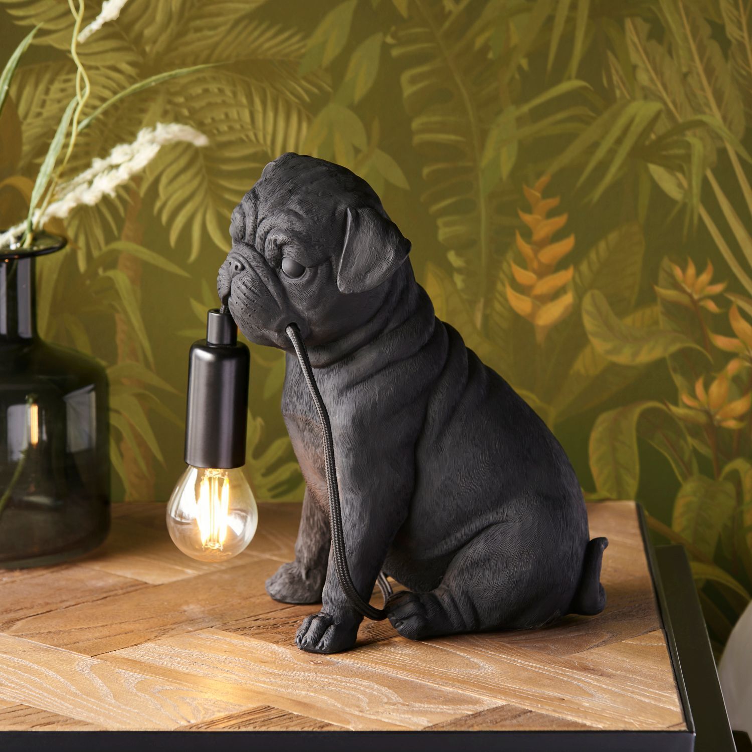 Lampe, Hund, Säugetier, Haustier