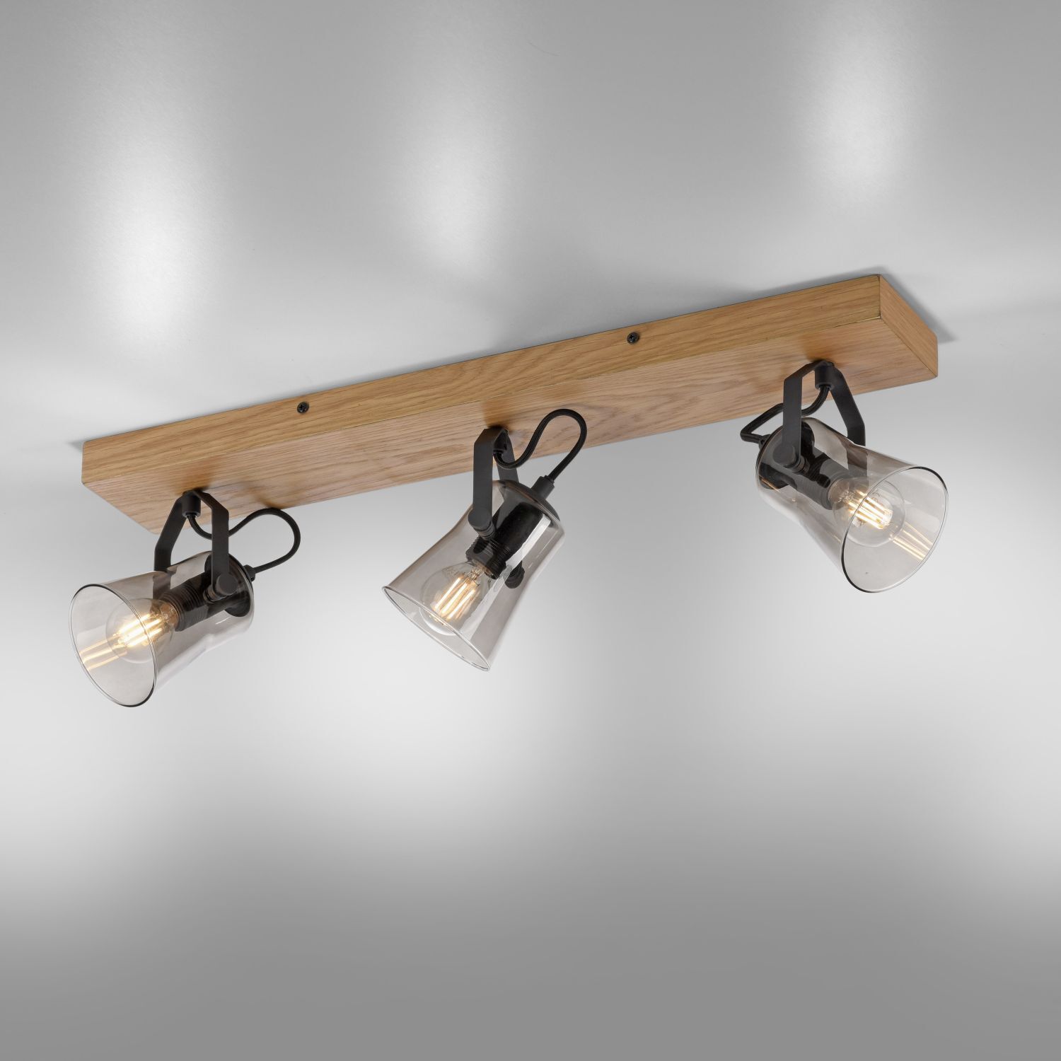 Beleuchtung, Leuchte