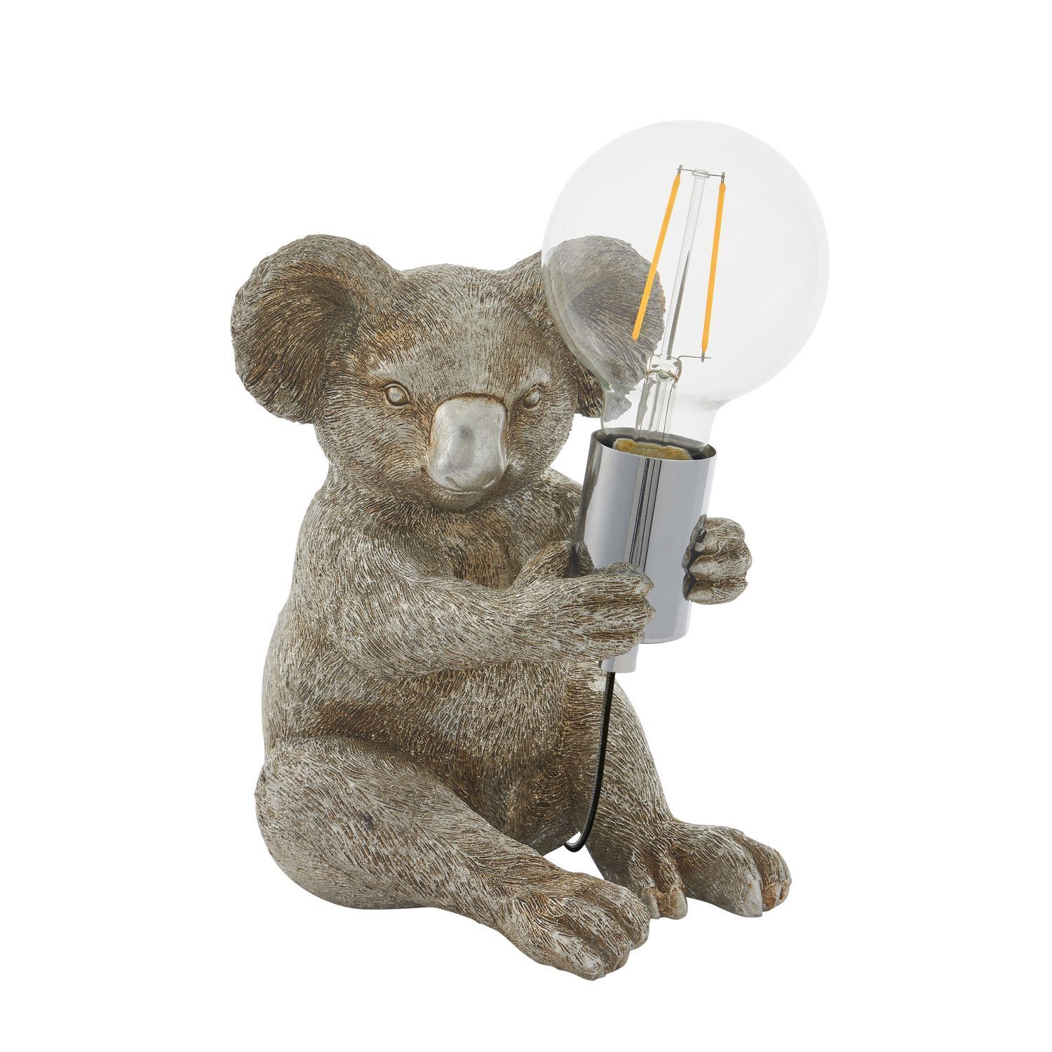 Licht, Tier, Bär, Säugetier, Tierwelt