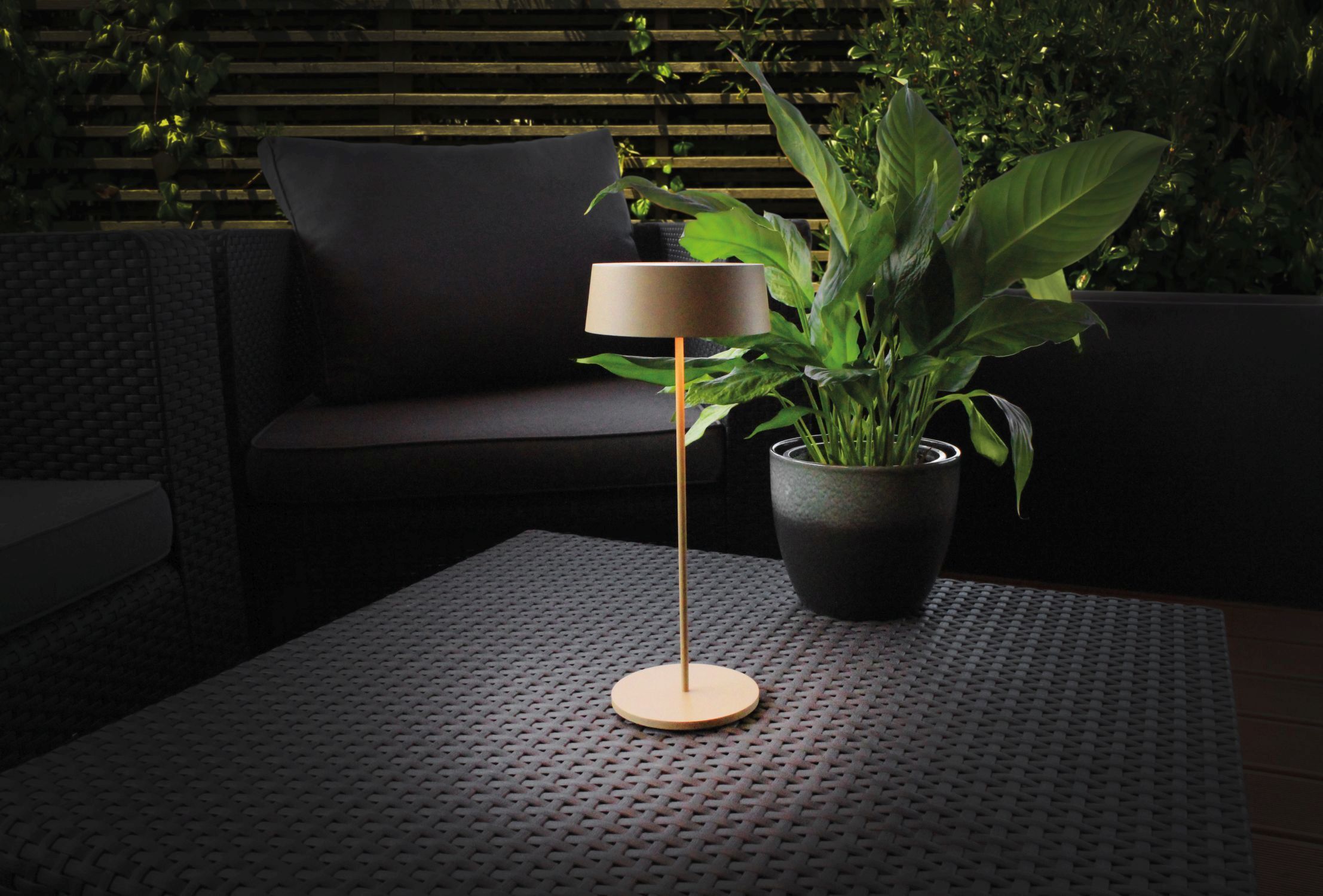 Lampe, Pflanze, Stehlampe
