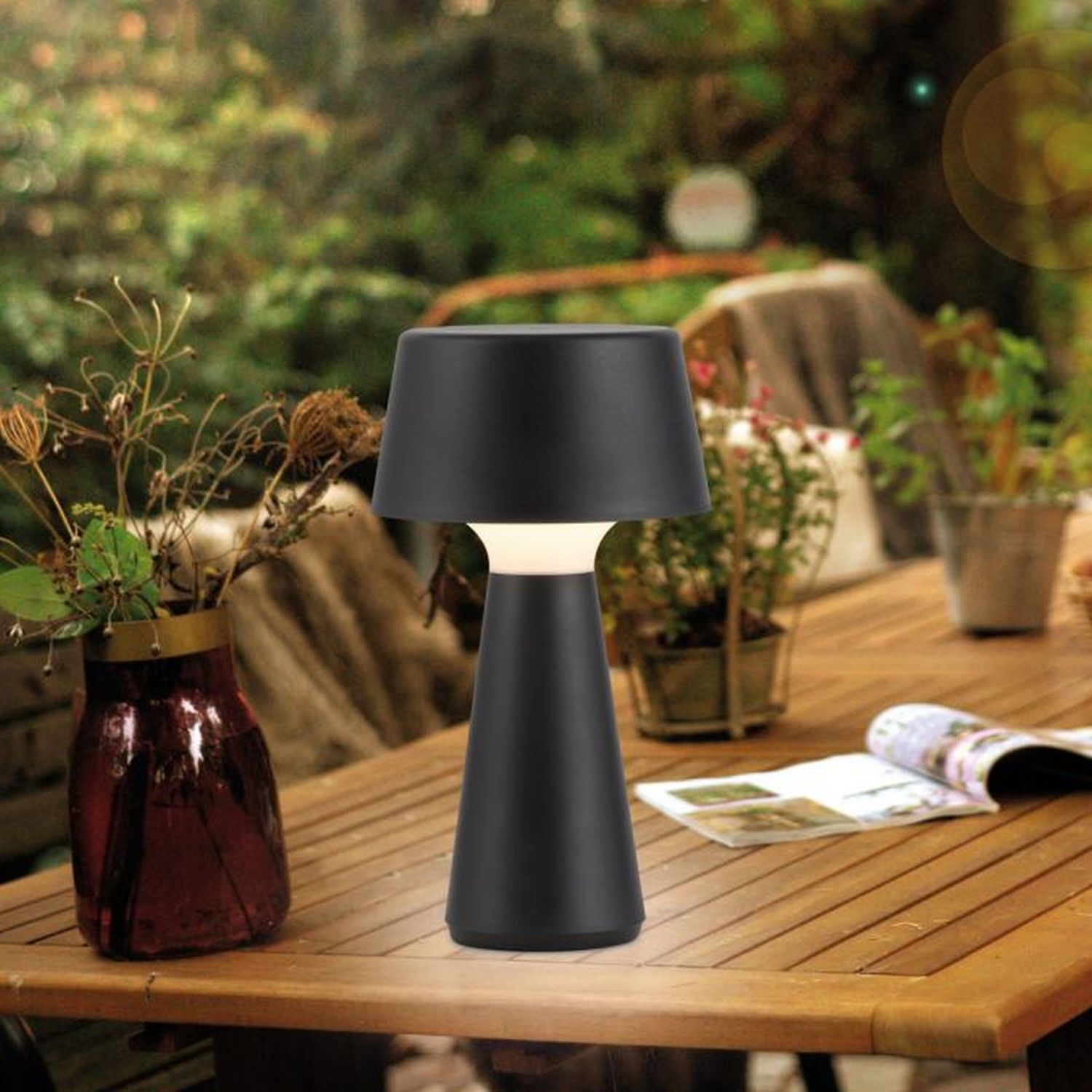 Lampe, Tischlampe, Tabelle, Tischplatte, Pflanze