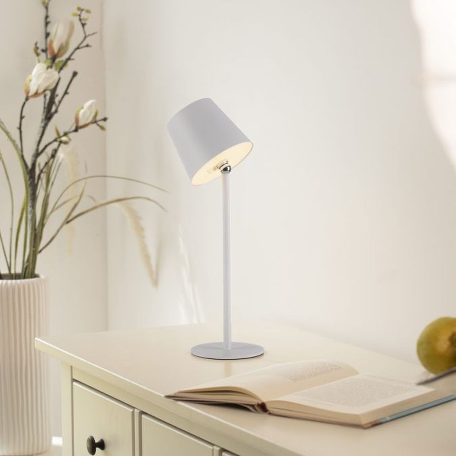 Lampe, Buch, Veröffentlichung, Pflanze