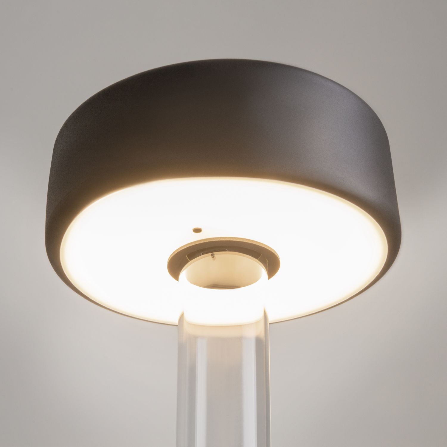 Lampe, Lampenschirm