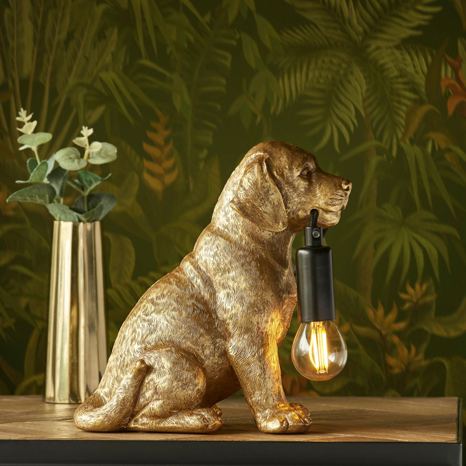 Licht, Lampe, Hund, Säugetier, Haustier