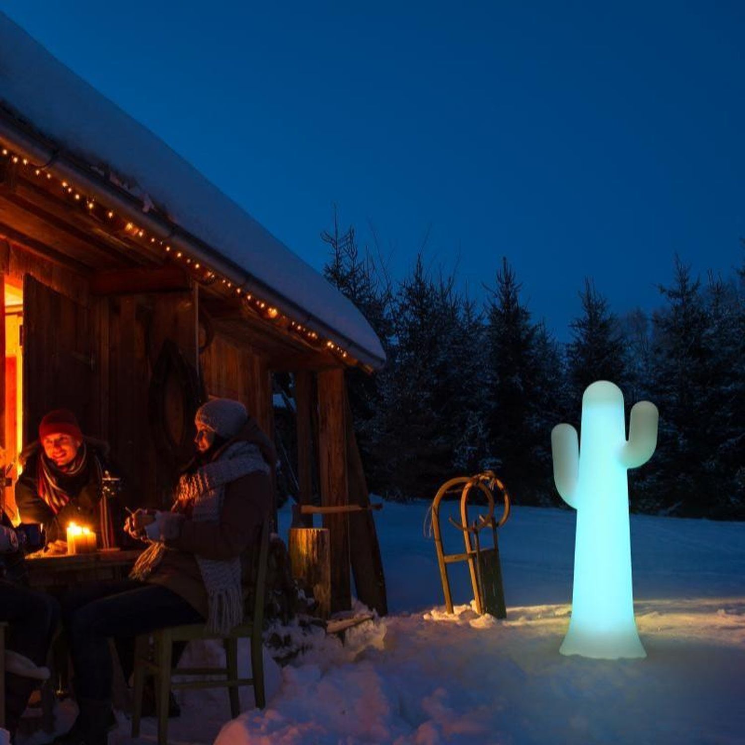 LED Stehlampe außen Akku 139cm Kaktus Dimmer Farbwechsel IP65 Erwachsener, Weiblich, Person, Frau