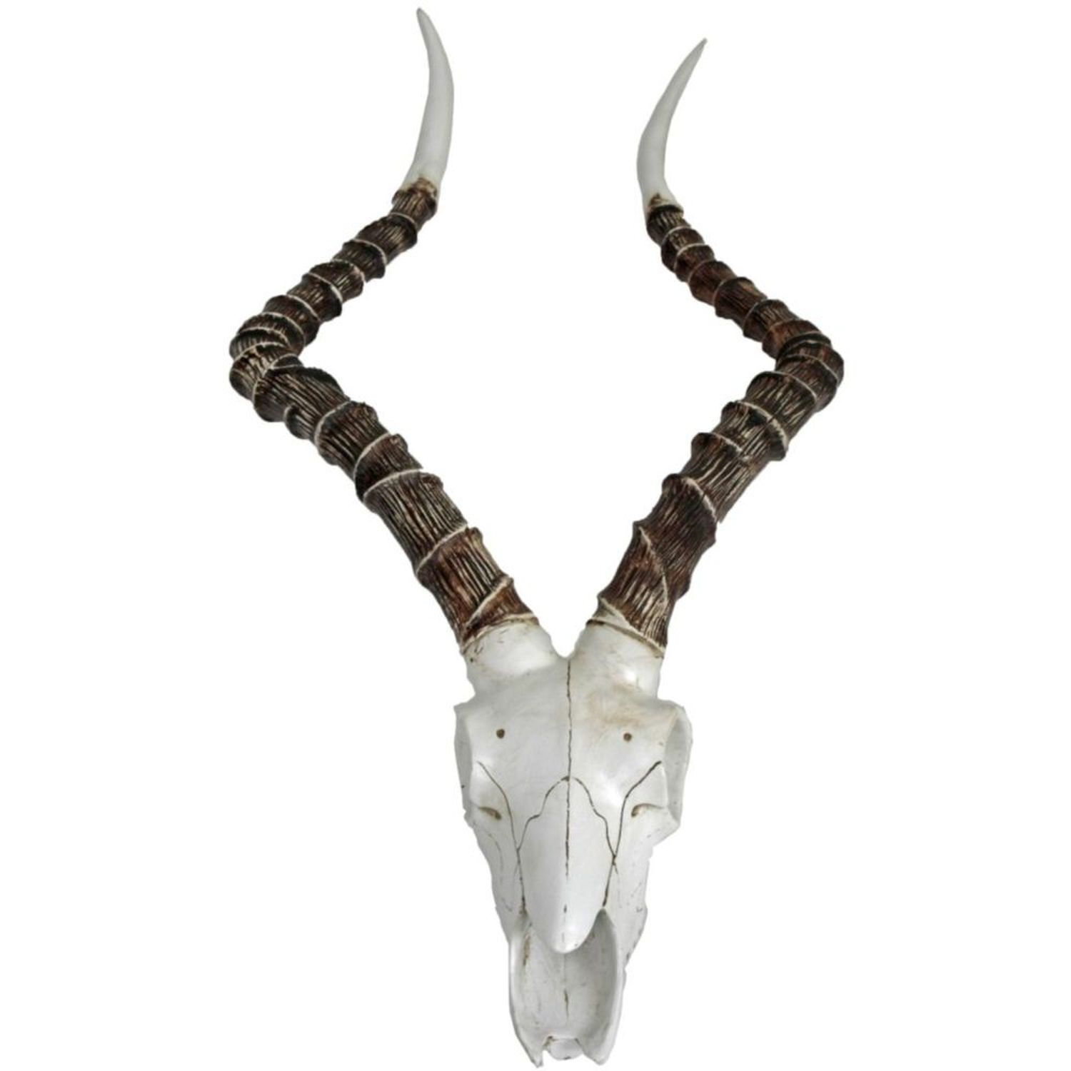 Deko Jagdtrophäe Tier Schädel H: 68 cm Polyresin künstlich Halskette, Tier, Gazelle, Säugetier, Tierwelt
