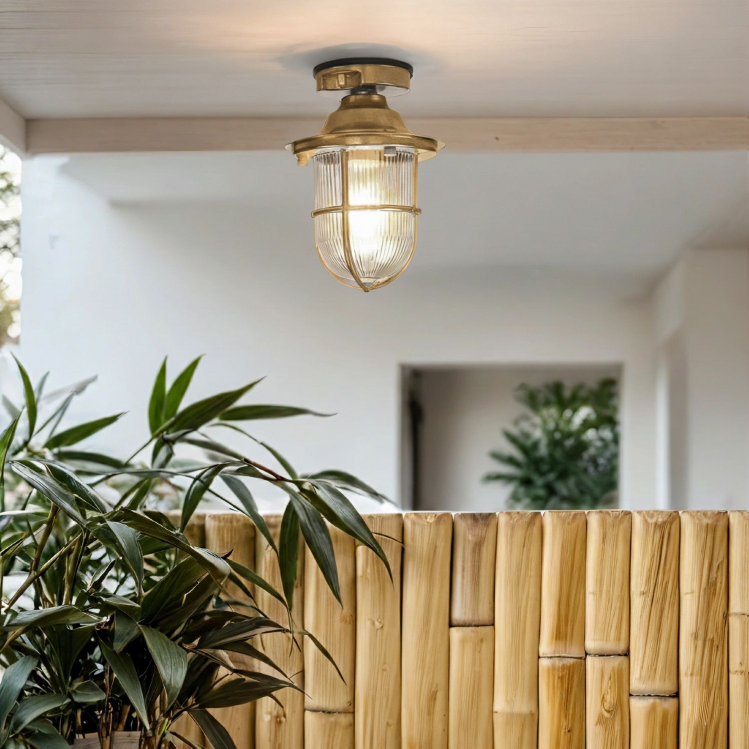 Drinnen, Innenarchitektur, Natur, Draußen