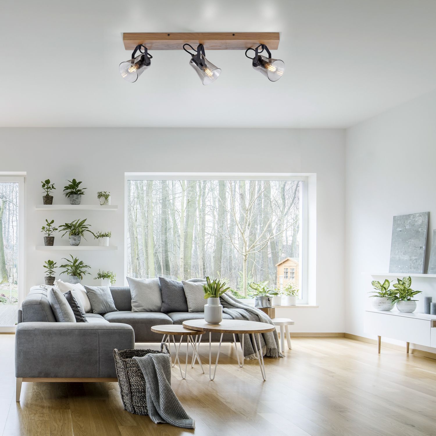 Dekoration für Zuhause, Drinnen, Innenarchitektur, Pflanze, Wohnzimmer