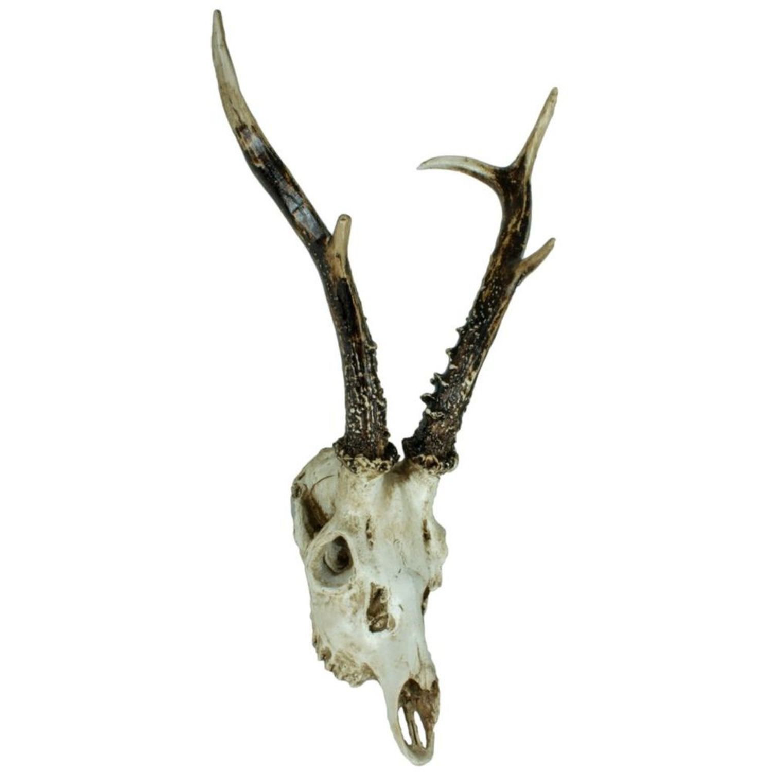 Deko Jagdtrophe Reh Schdel B: 39 cm Polyresin knstlich