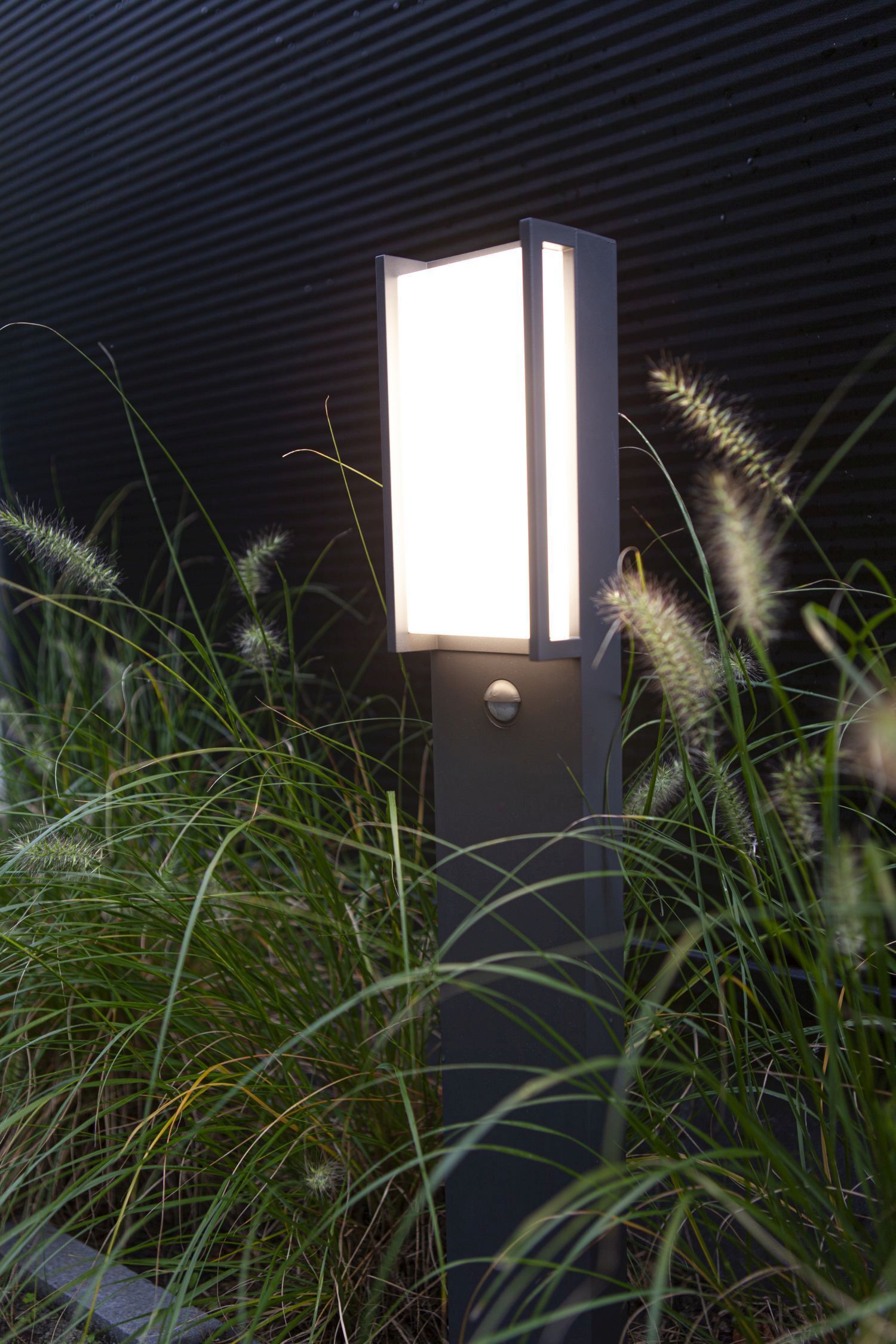 Beleuchtung, Lampe, Gras, Pflanze, Schilf