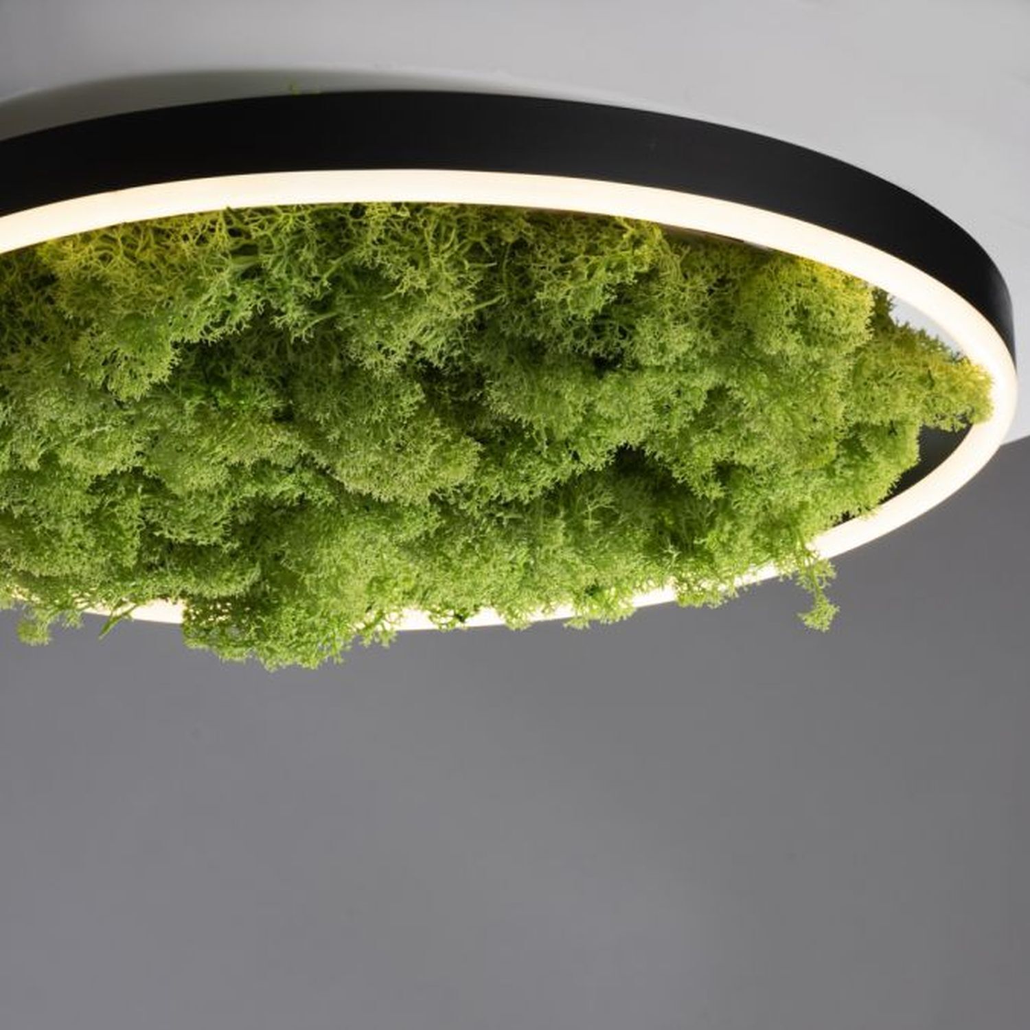 LED Deckenlampe Moos Schwarz 3000 K 2650 lm dimmbar