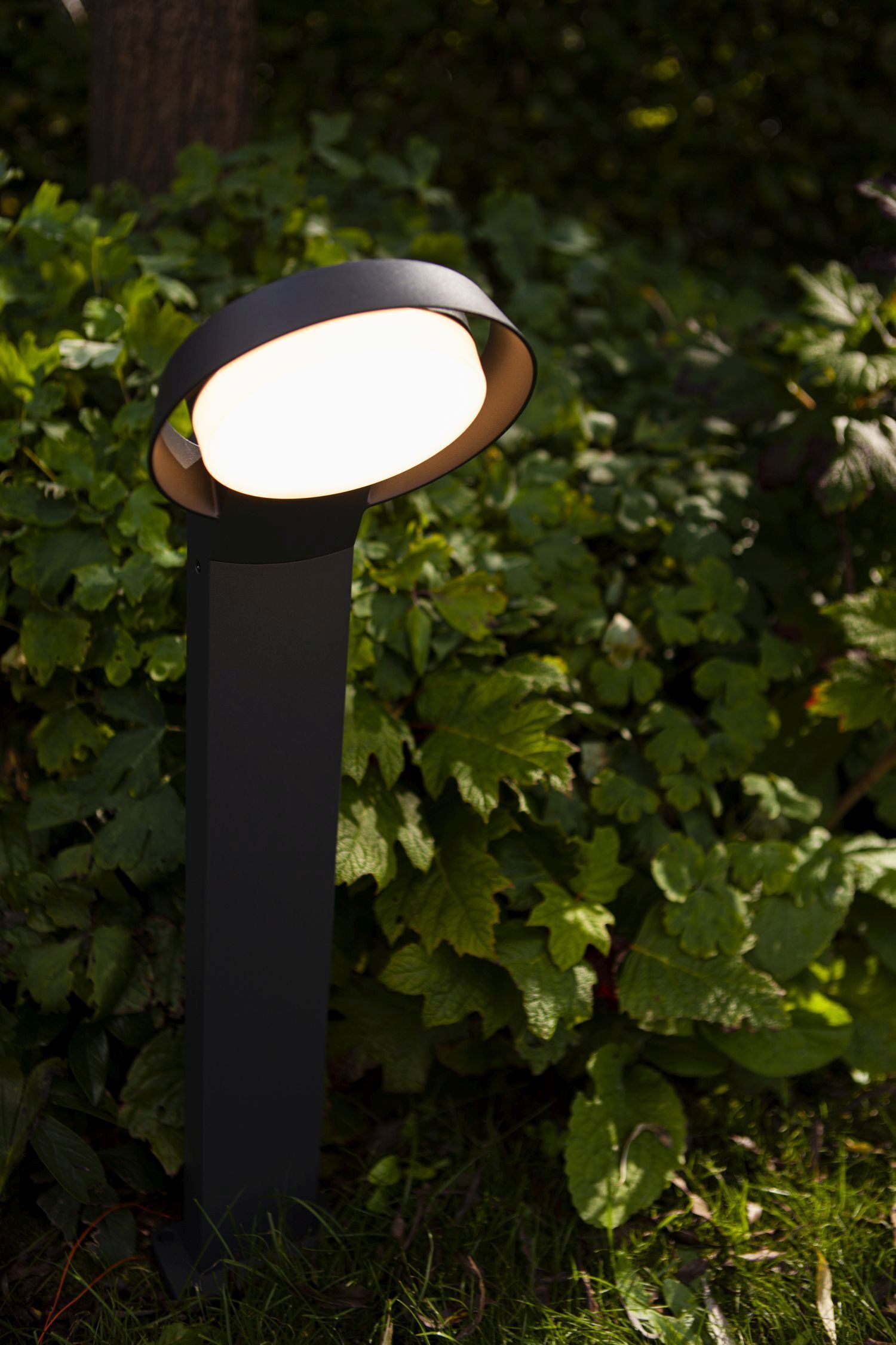 Beleuchtung, Lampe, Laternenpfahl