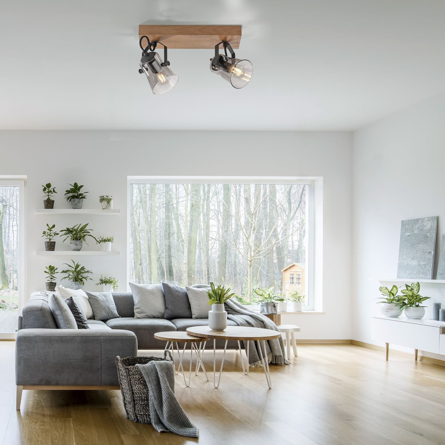 Dekoration für Zuhause, Pflanze, Drinnen, Innenarchitektur