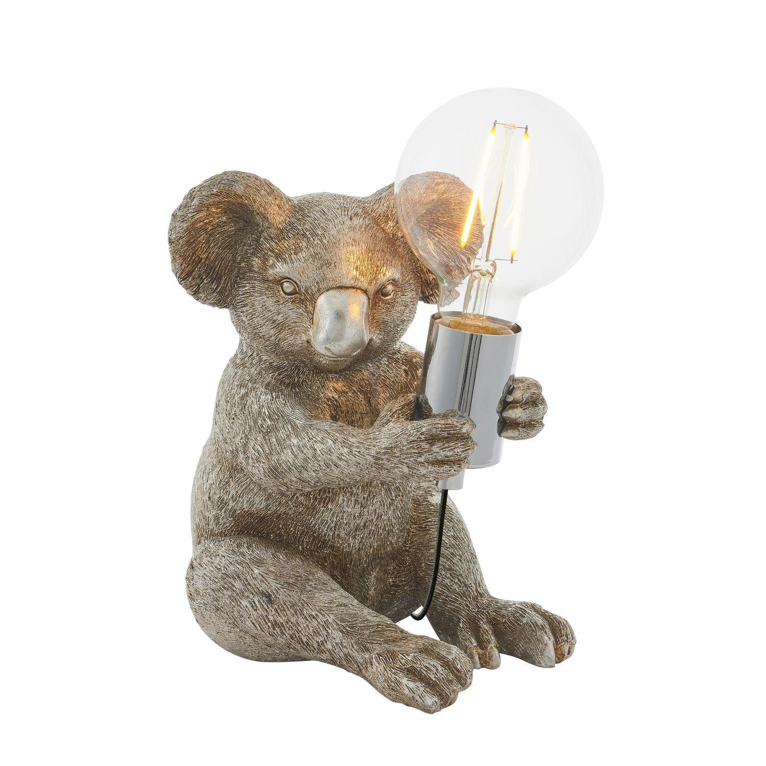 Licht, Tier, Bär, Säugetier, Tierwelt