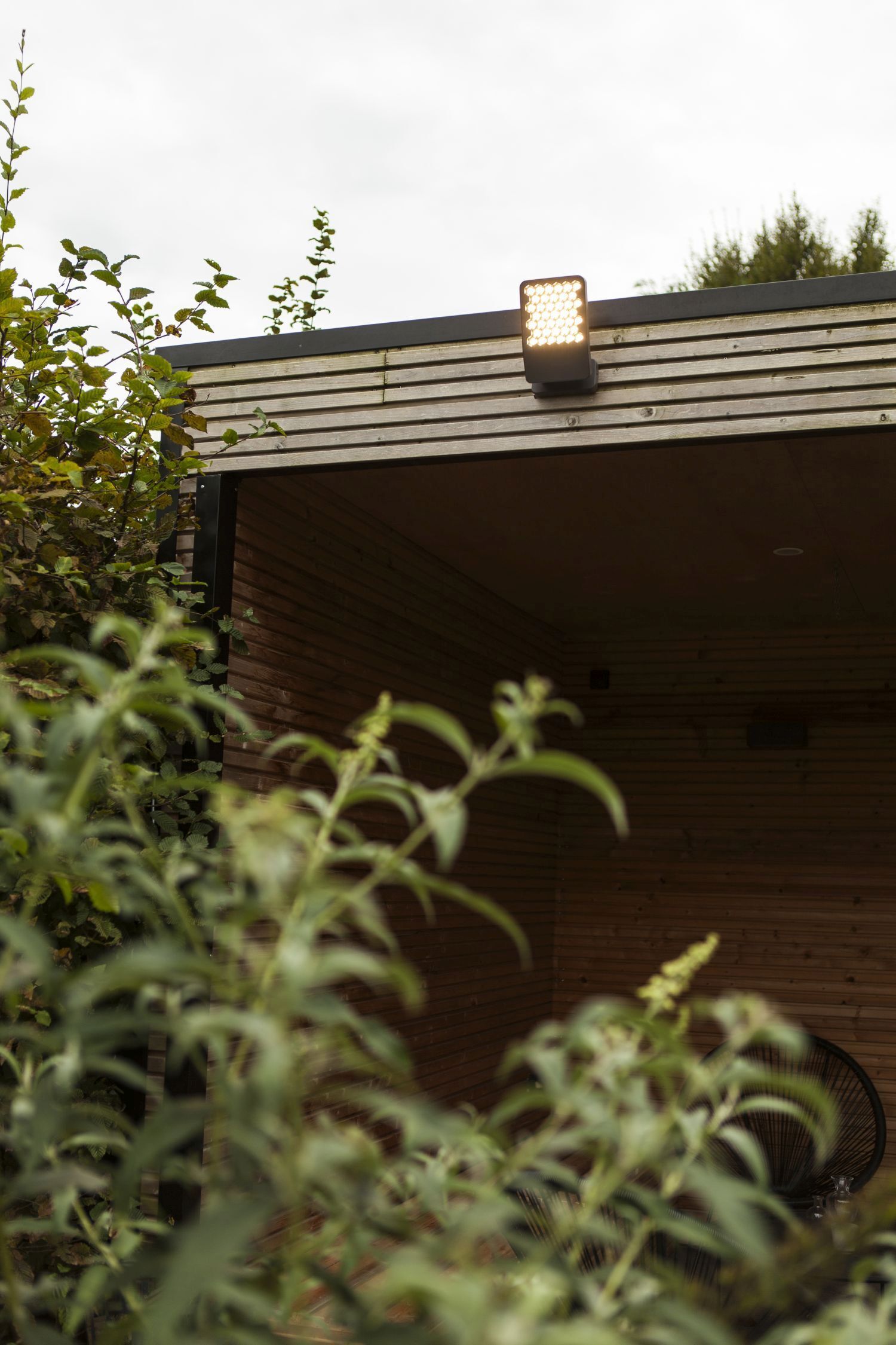 Tierheim, Innenarchitektur, Wohnen, Veranda, Holz