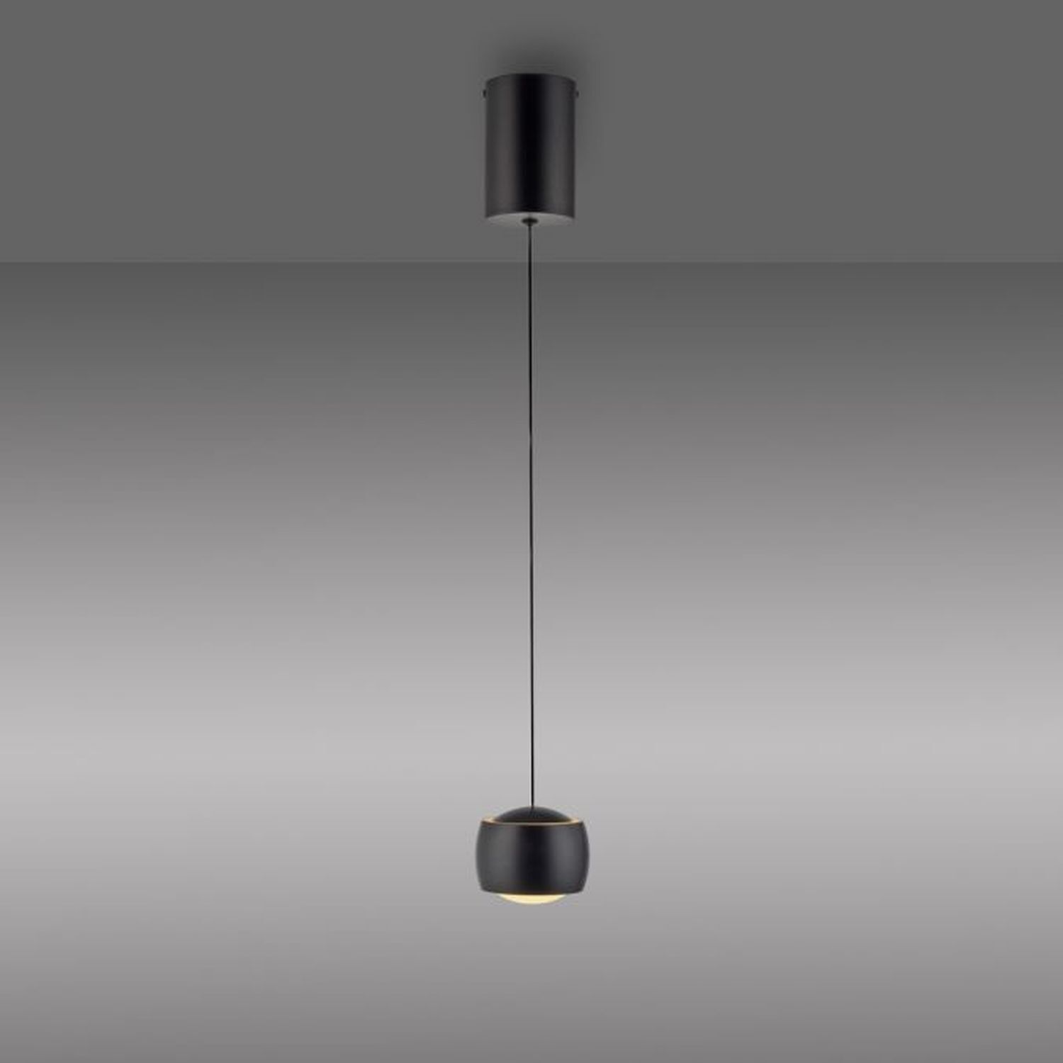 LED Hängeleuchte Metall warmweiß 3000 K 800 lm Schwarz