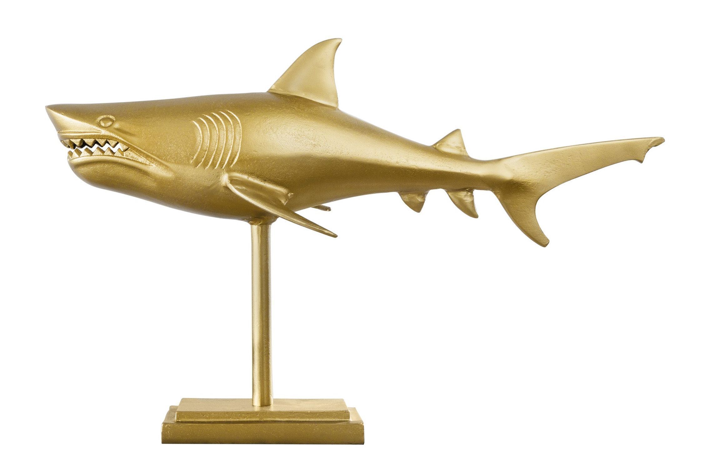 Tier, Fische, Leben im Meer, Hai
