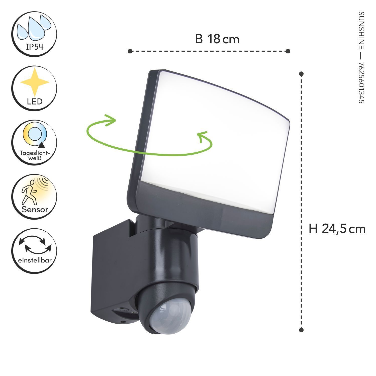 LED Wandleuchte außen mit Bewegungsmelder IP44 5000 K