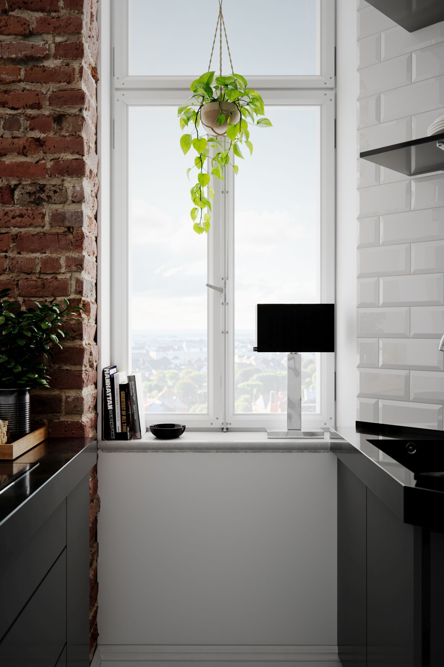 Pflanze, Fenster, Drinnen, Innenarchitektur, Fensterbank