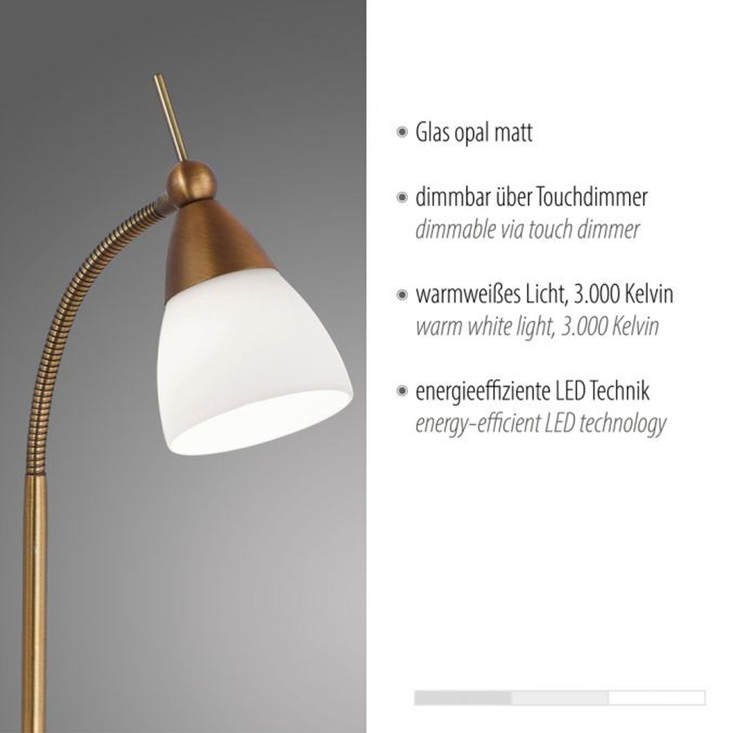 Lampe, Lampenschirm