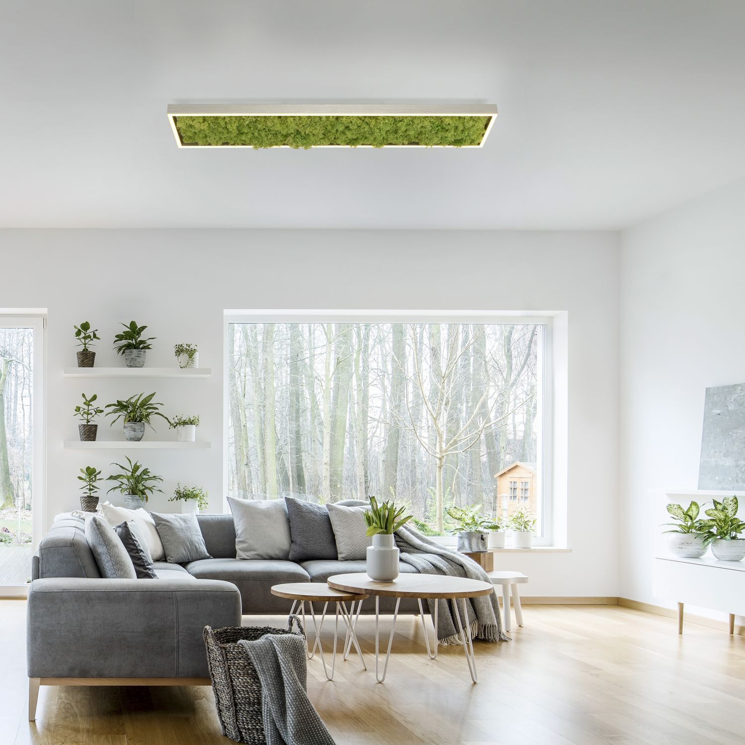 LED Deckenleuchte Moos L:100 cm 3000 K 3550 lm aus Moos