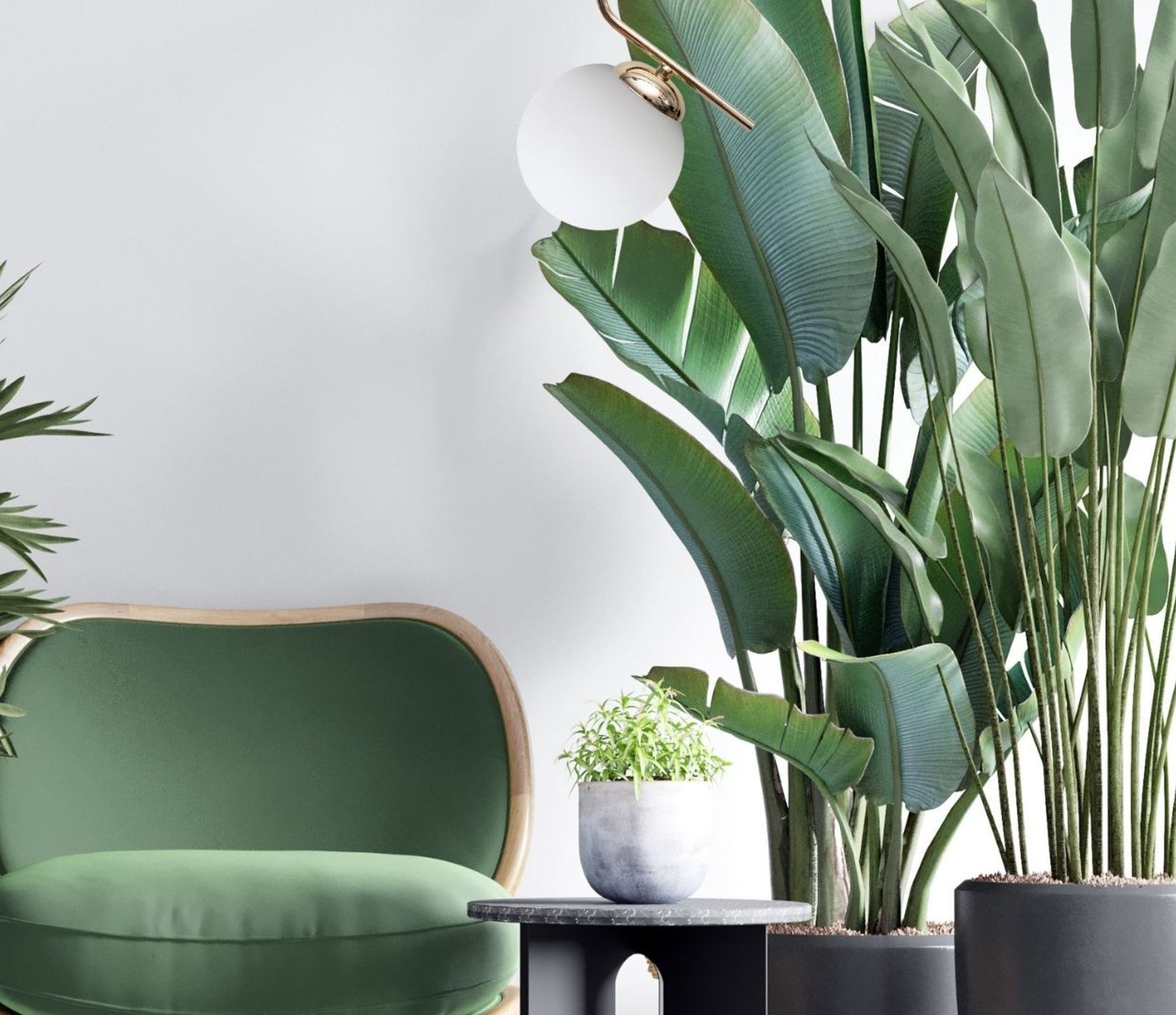 Pflanze, Pflanze im Topf, Drinnen, Innenarchitektur, Lampe