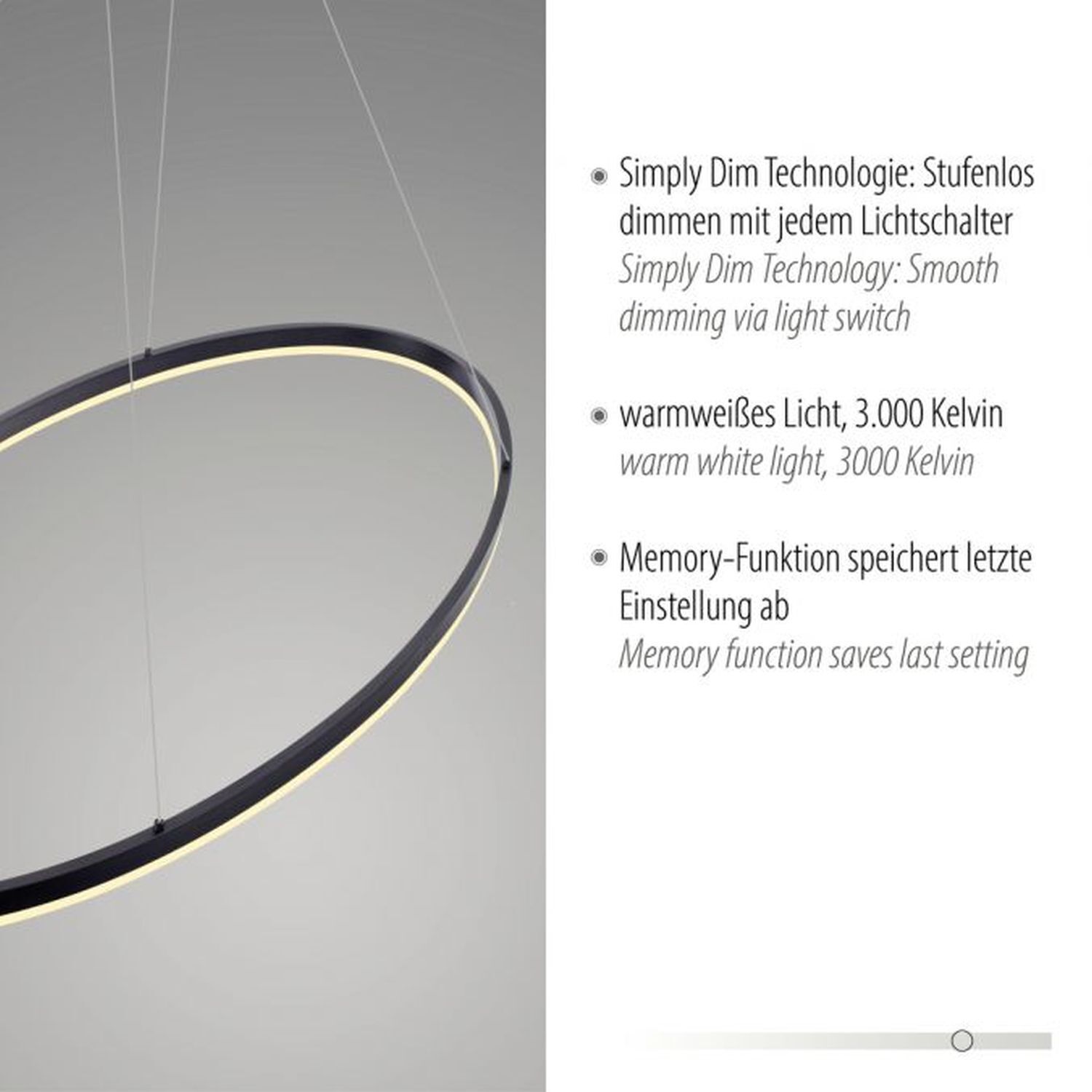 LED Pendelleuchte Anthrazit oval 3000 K 118 cm dimmbar Reifen