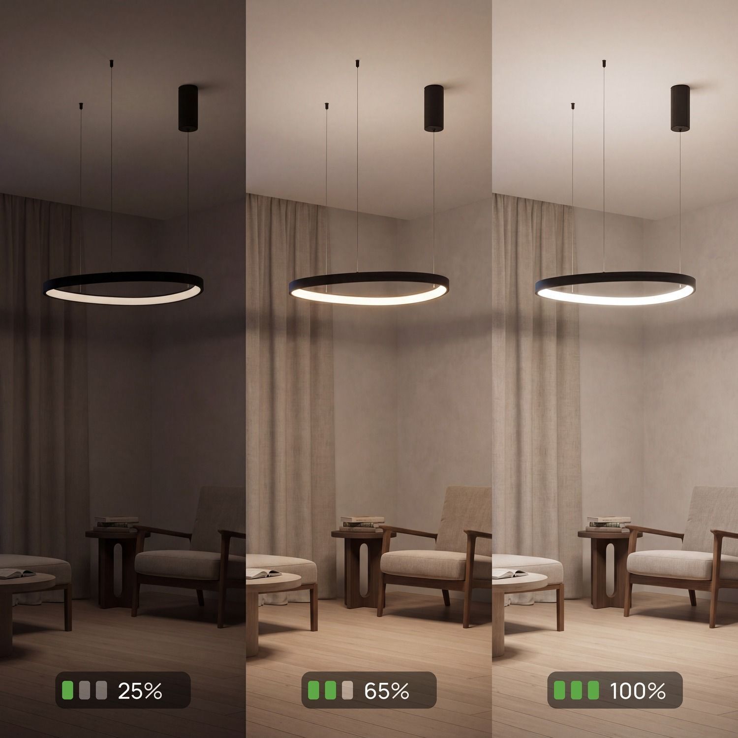 Pendelleuchte, Ringlampe, Deckenlampe, modern, Wohnzimmer