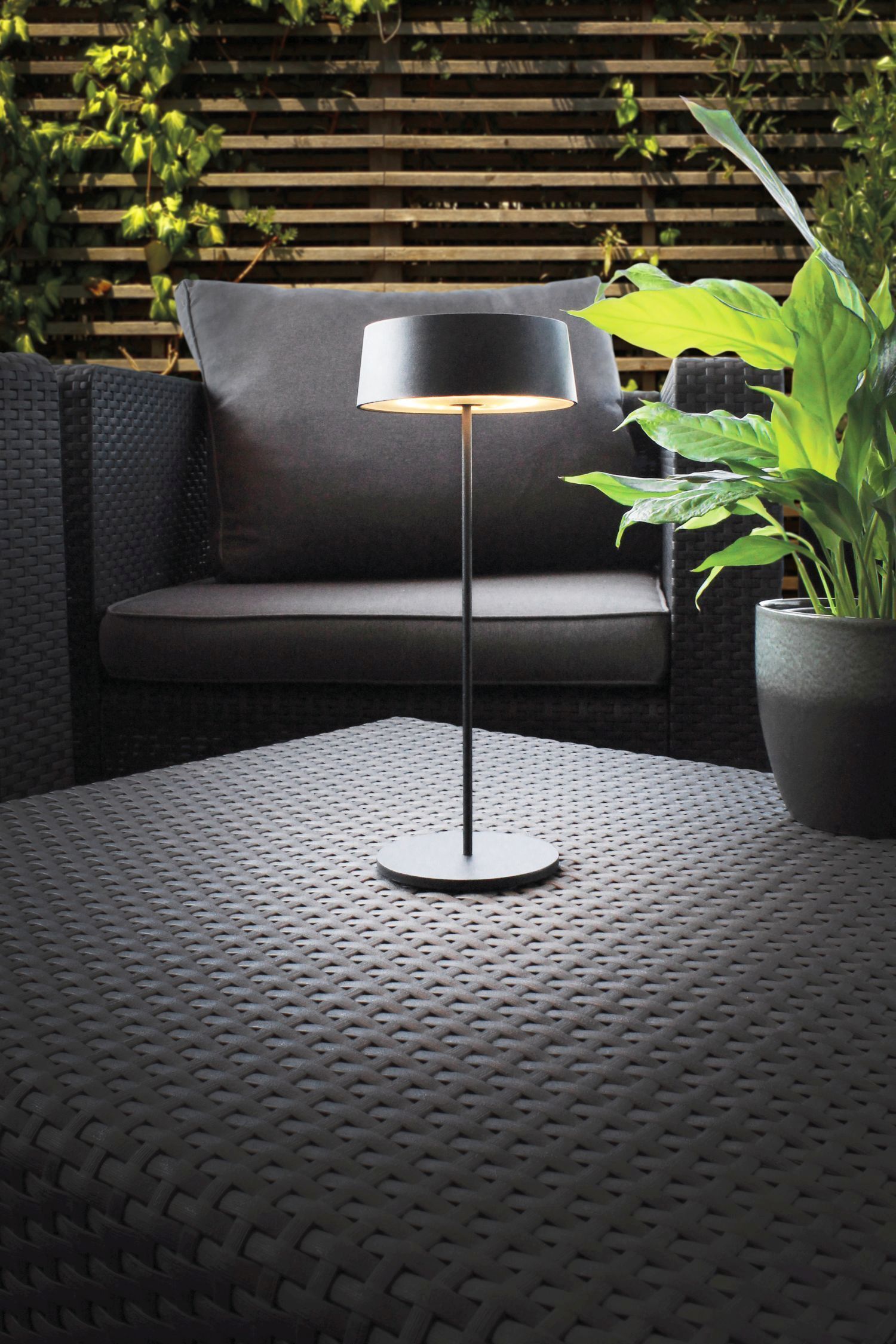 Lampe, Pflanze, Mobiliar