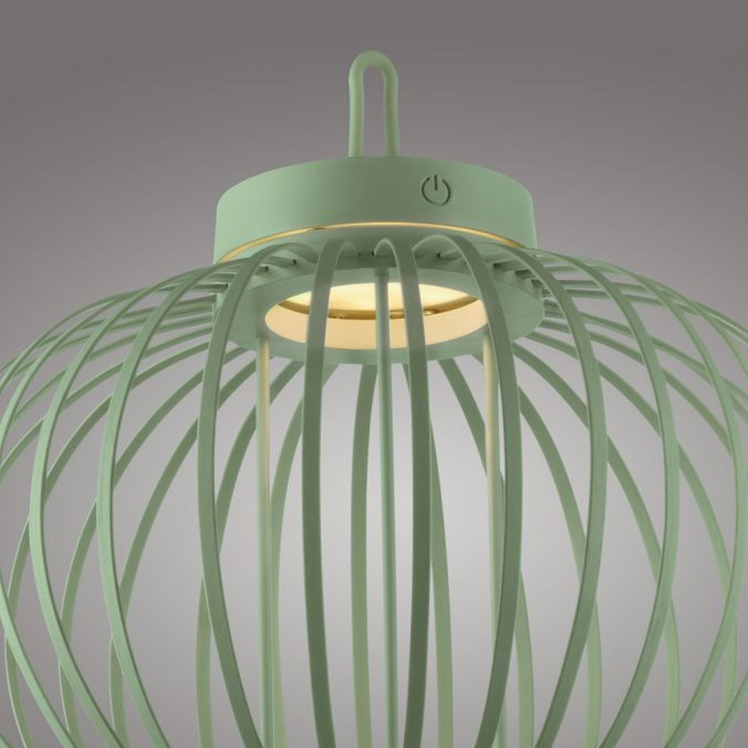Lampe, Leuchte, Pflanze