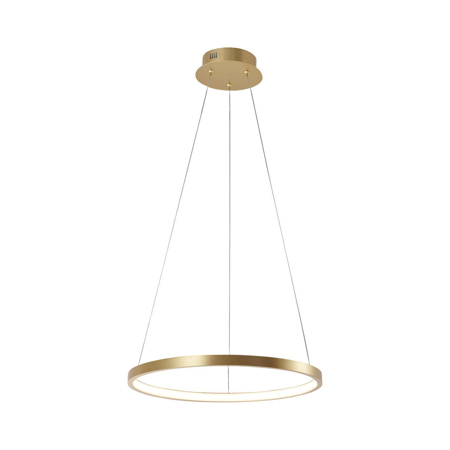 LED Hängelampe Ring in Gold Metall Ø39 cm 2450 lm 19 W
