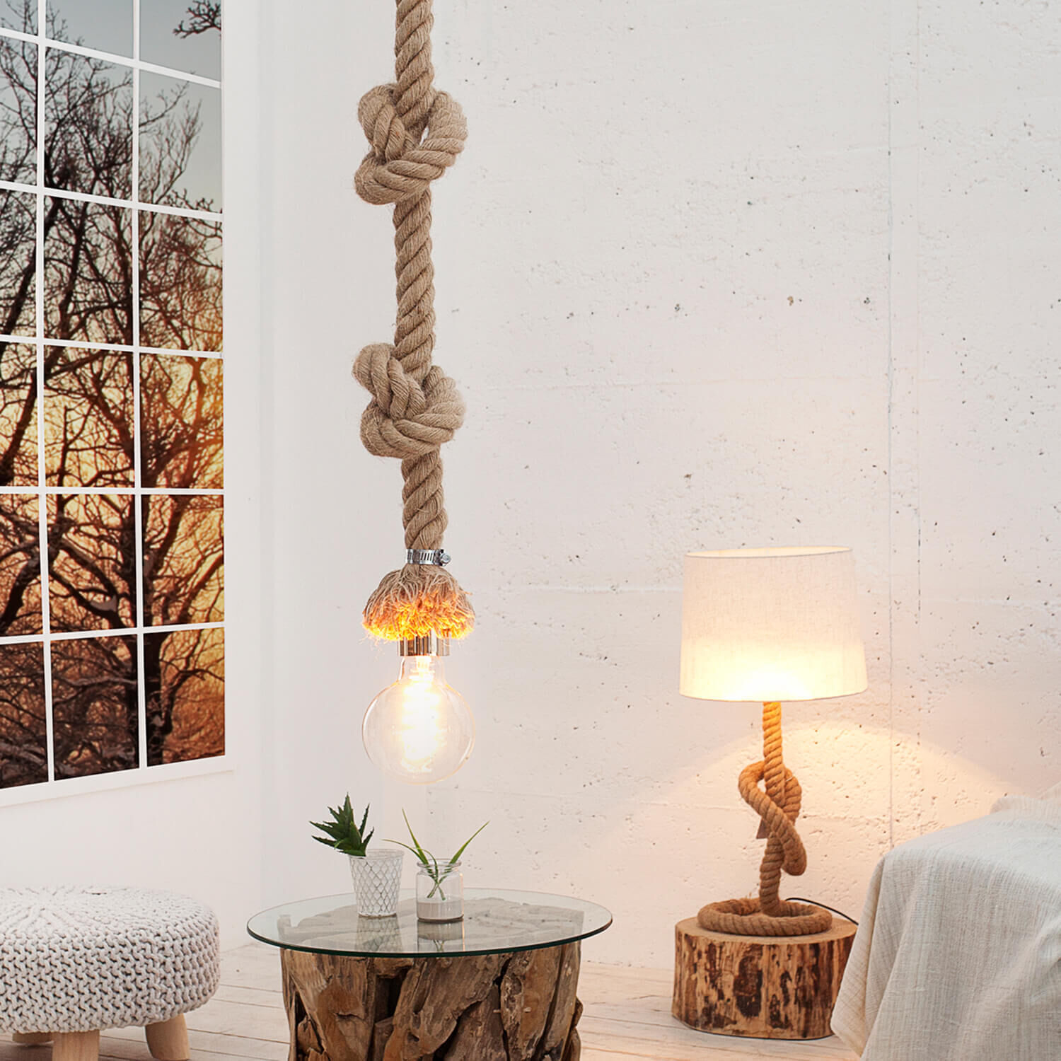 Lampe, Pflanze, Baum