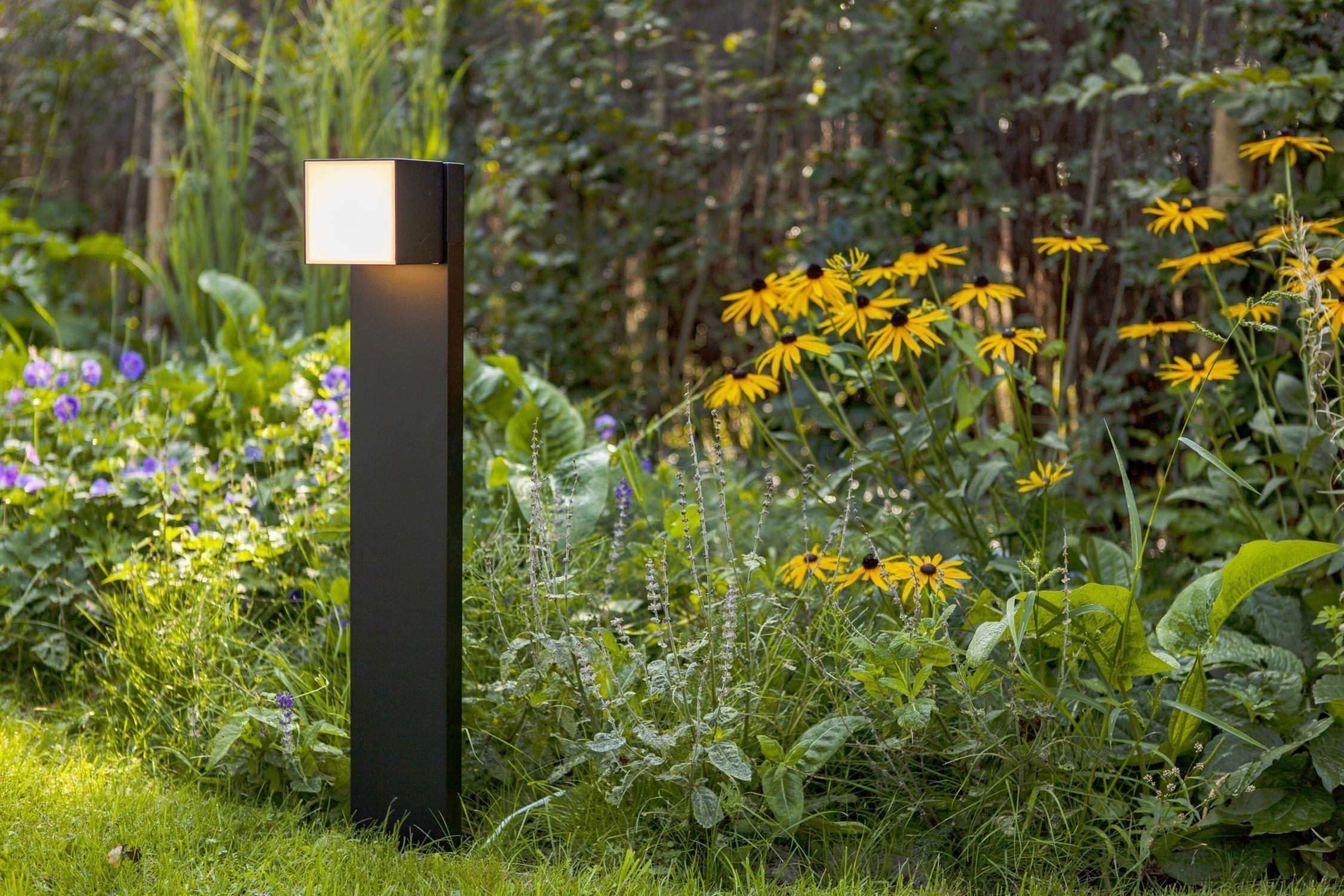 Lampe