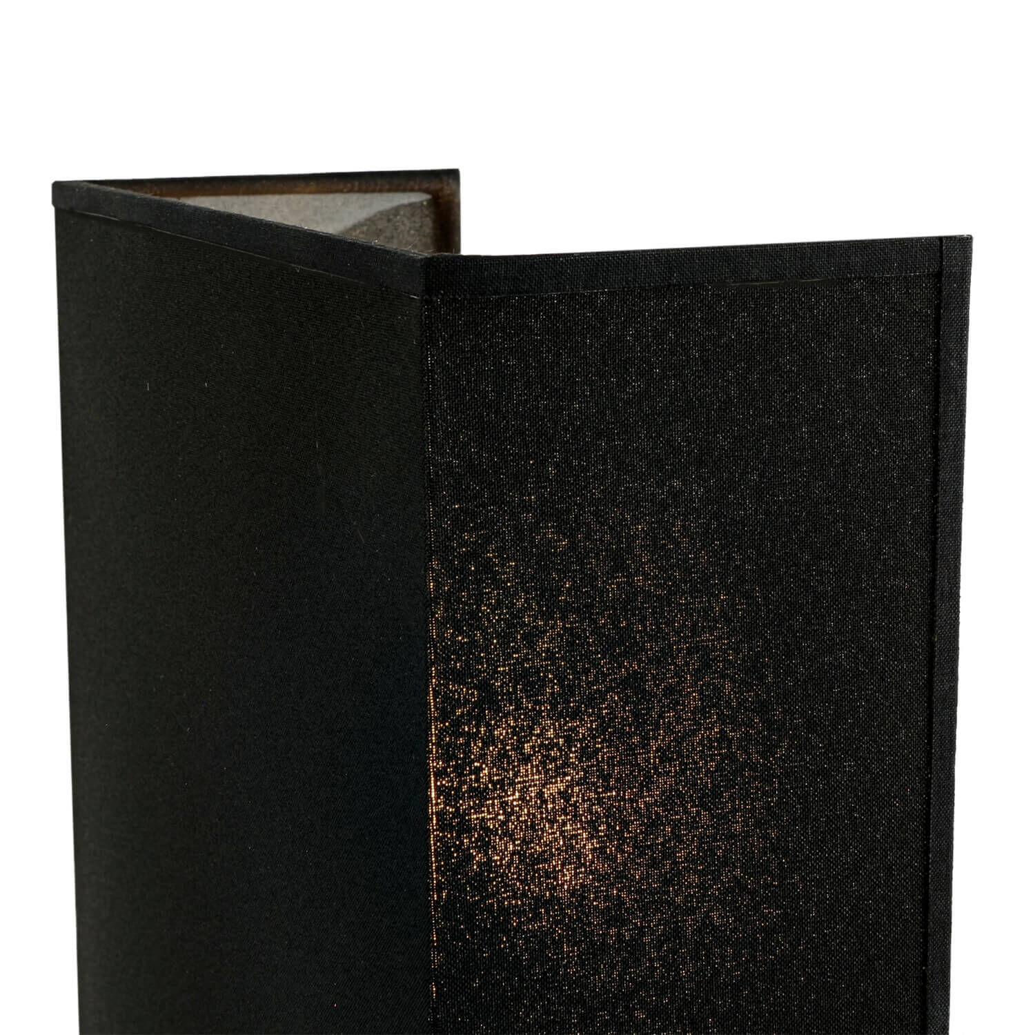 Buch, Veröffentlichung