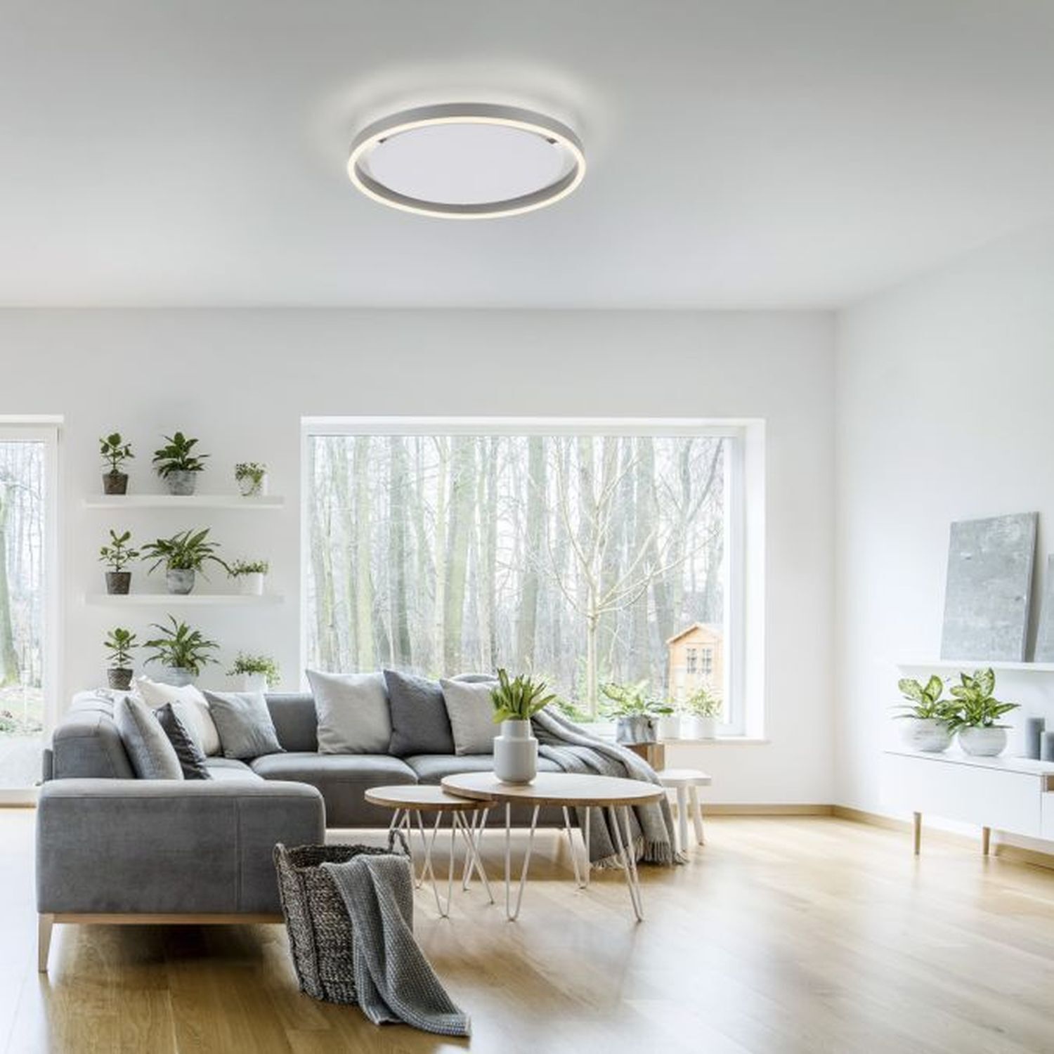 Dekoration für Zuhause, Couch, Mobiliar, Pflanze